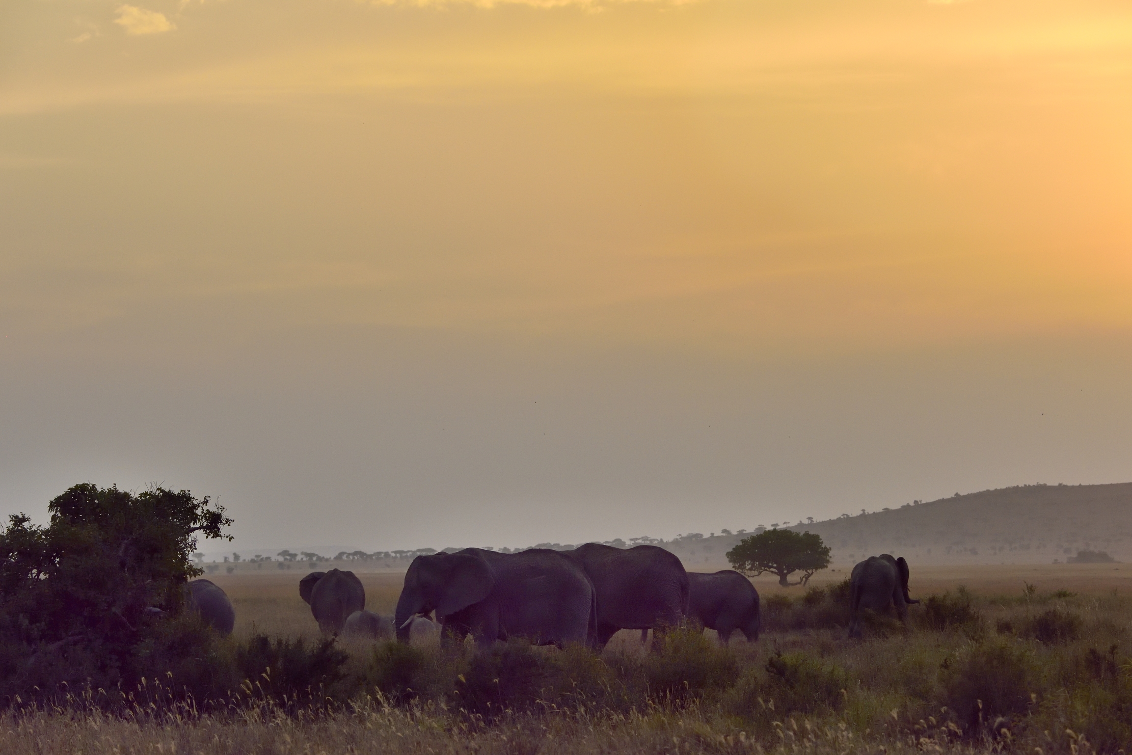 Tanzania 2015 - A tarda sera