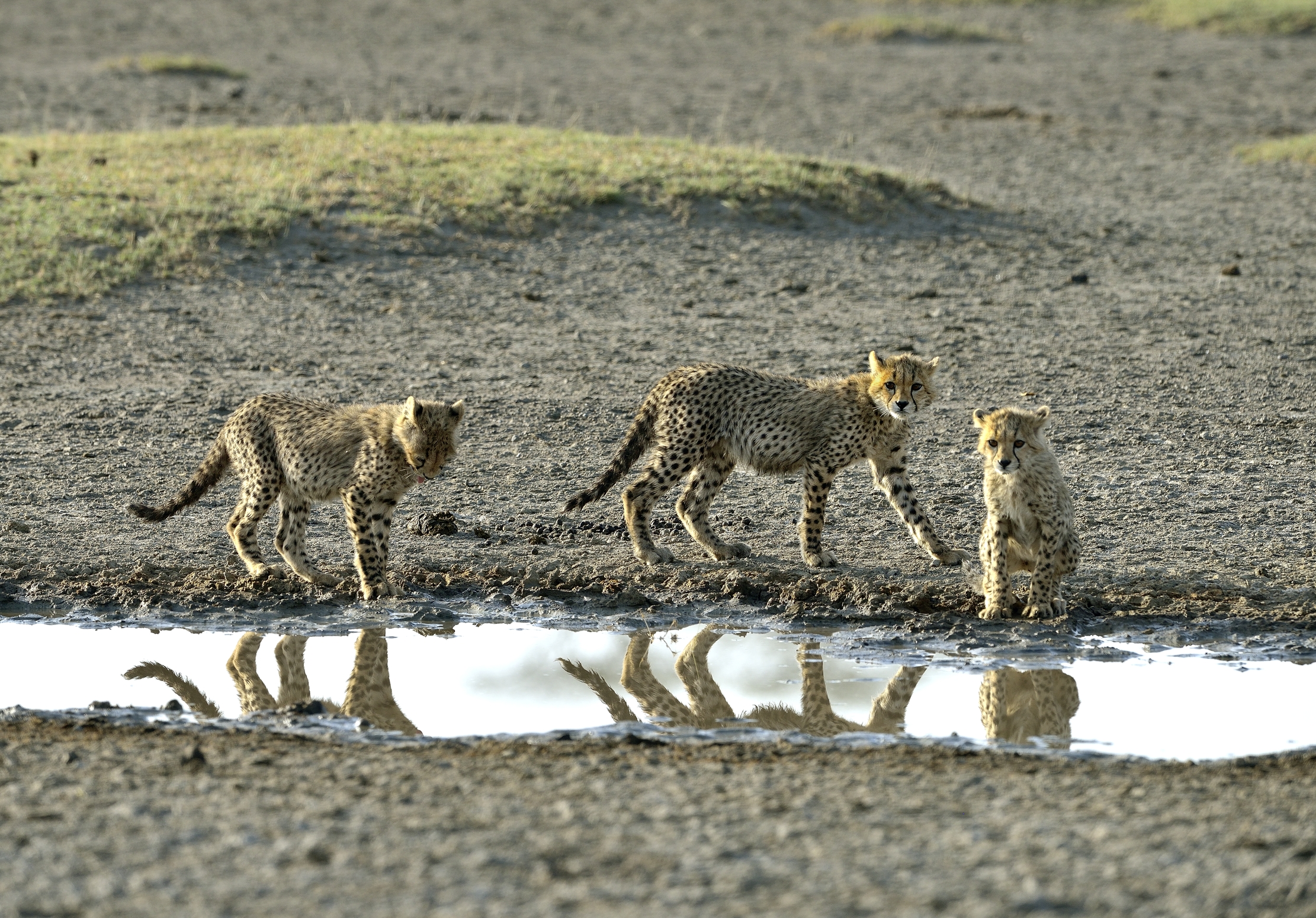 Tanzania 2015 - I tre fratellini