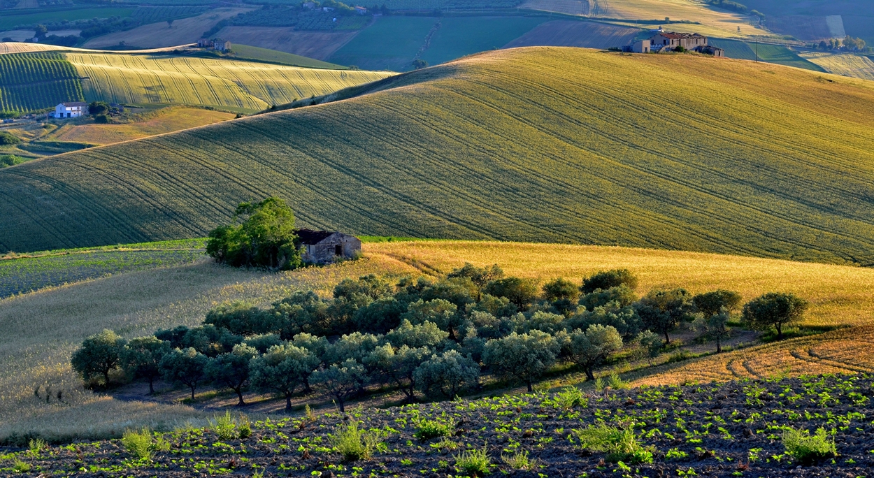La Quiete del Tramonto