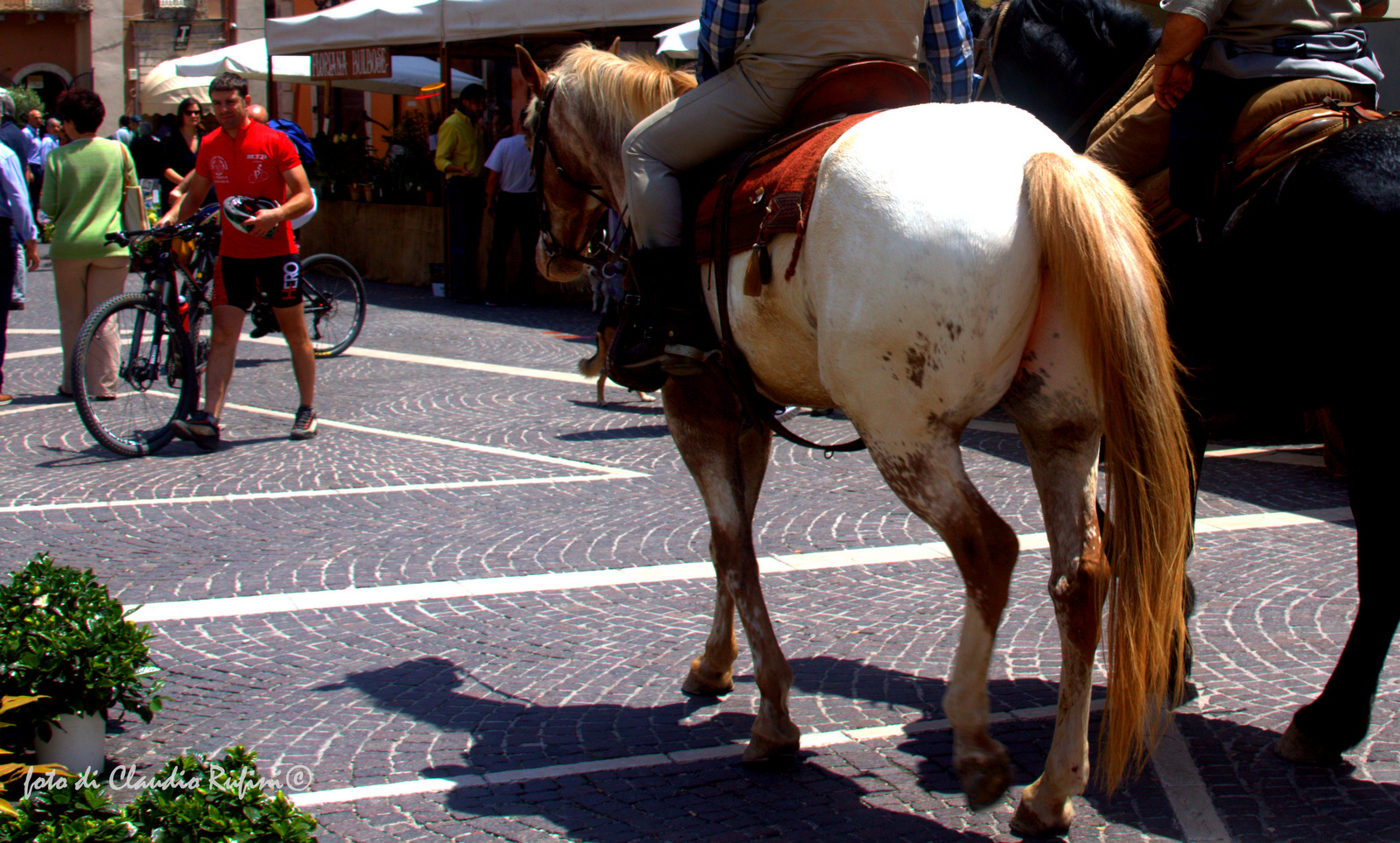 Bicicletta e cow boys