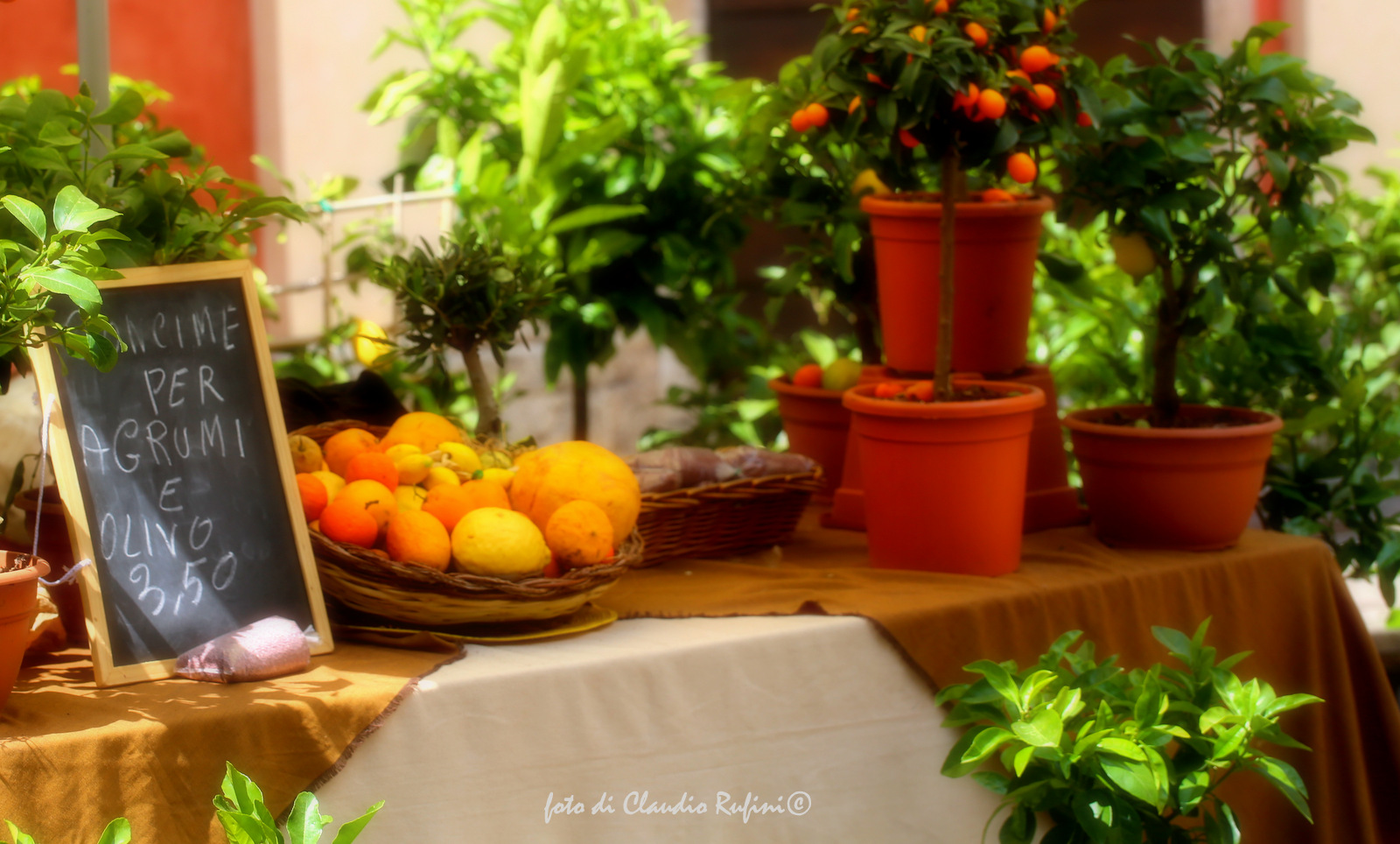 Banchetto di frutta e vasi