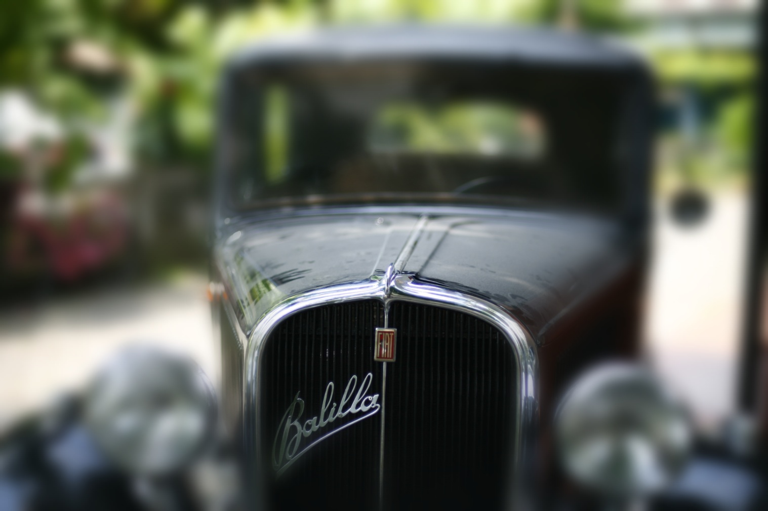 Dove c'é Balilla, c'è casa...