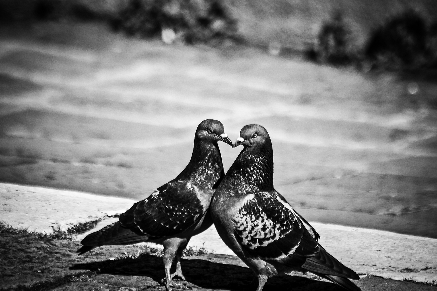 L'amore lascia il segno