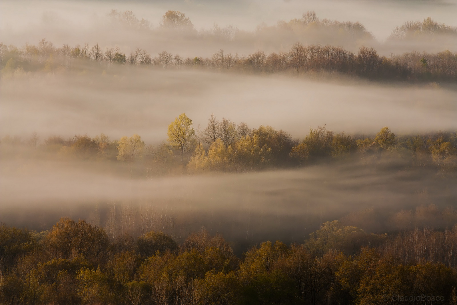 Velature di primo mattino