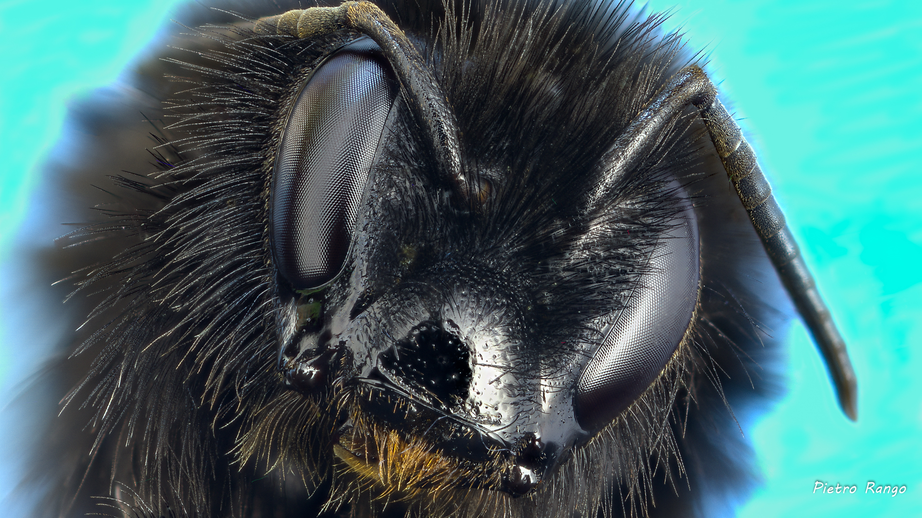 Something to say ???