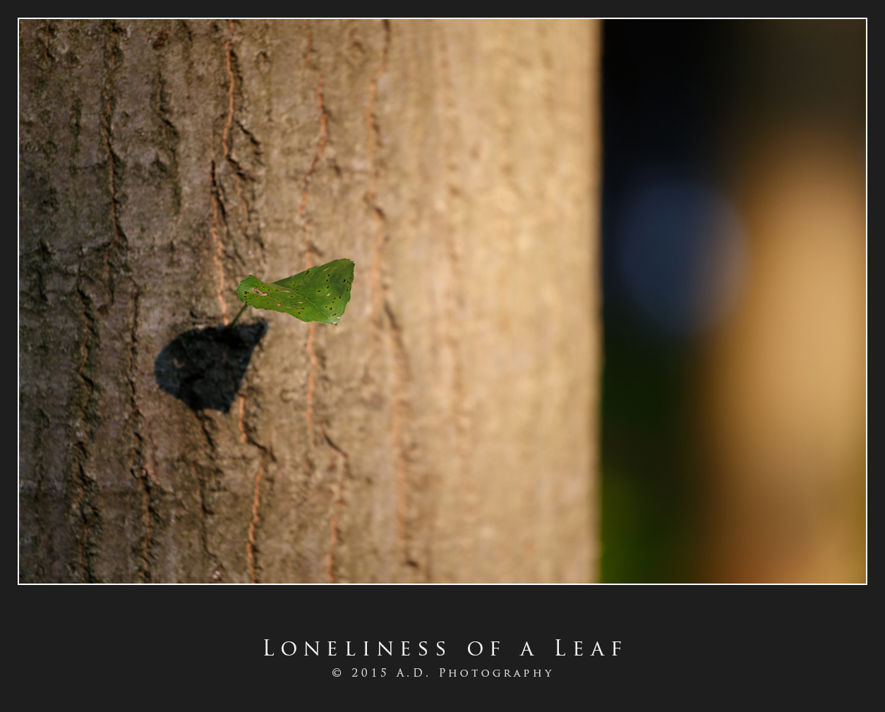 Loneliness of a Leaf