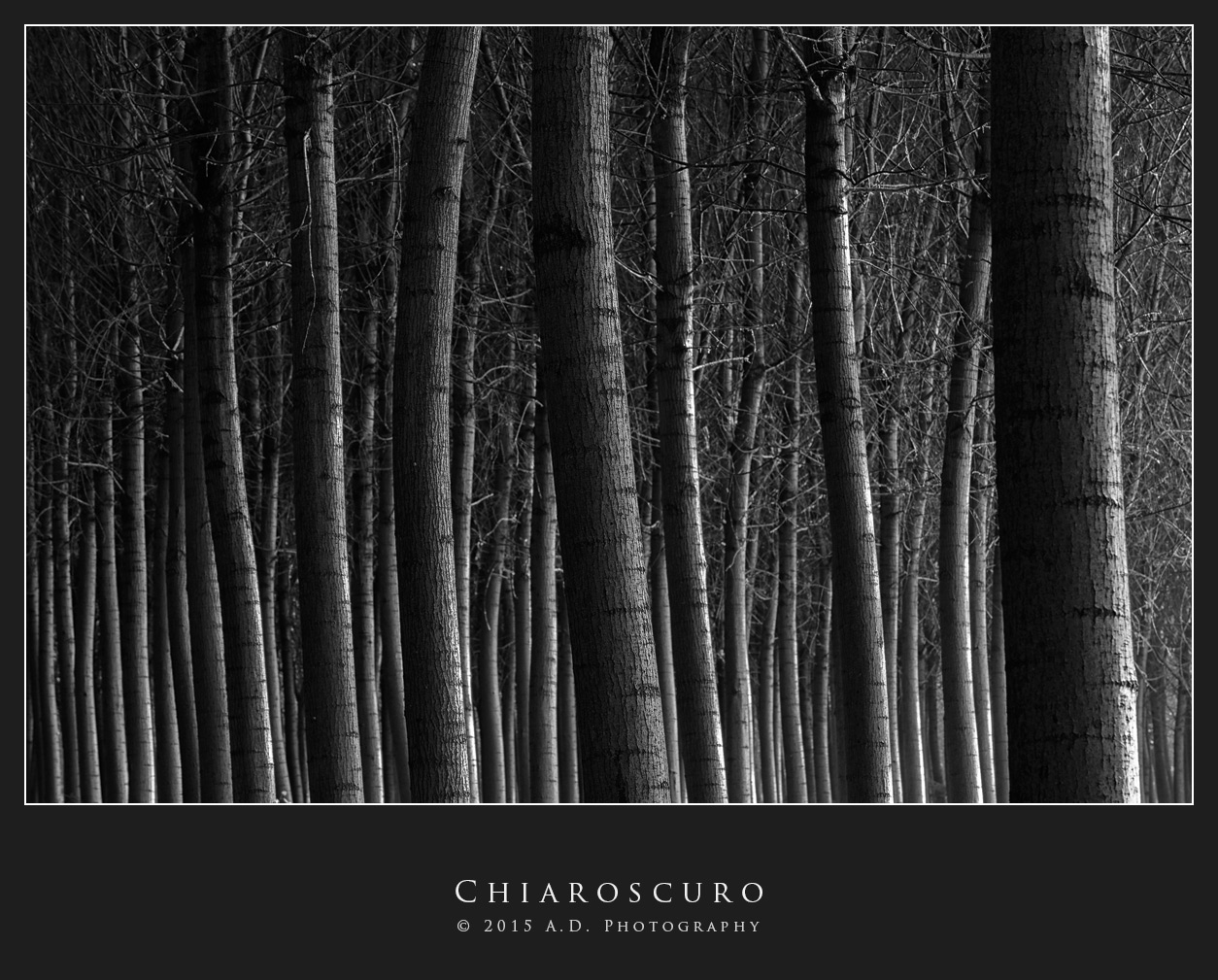 Chiaroscuro