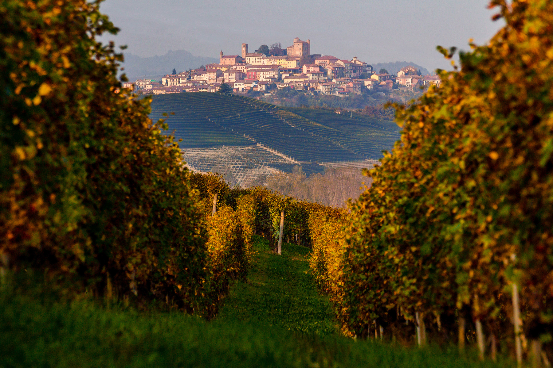 Langhe