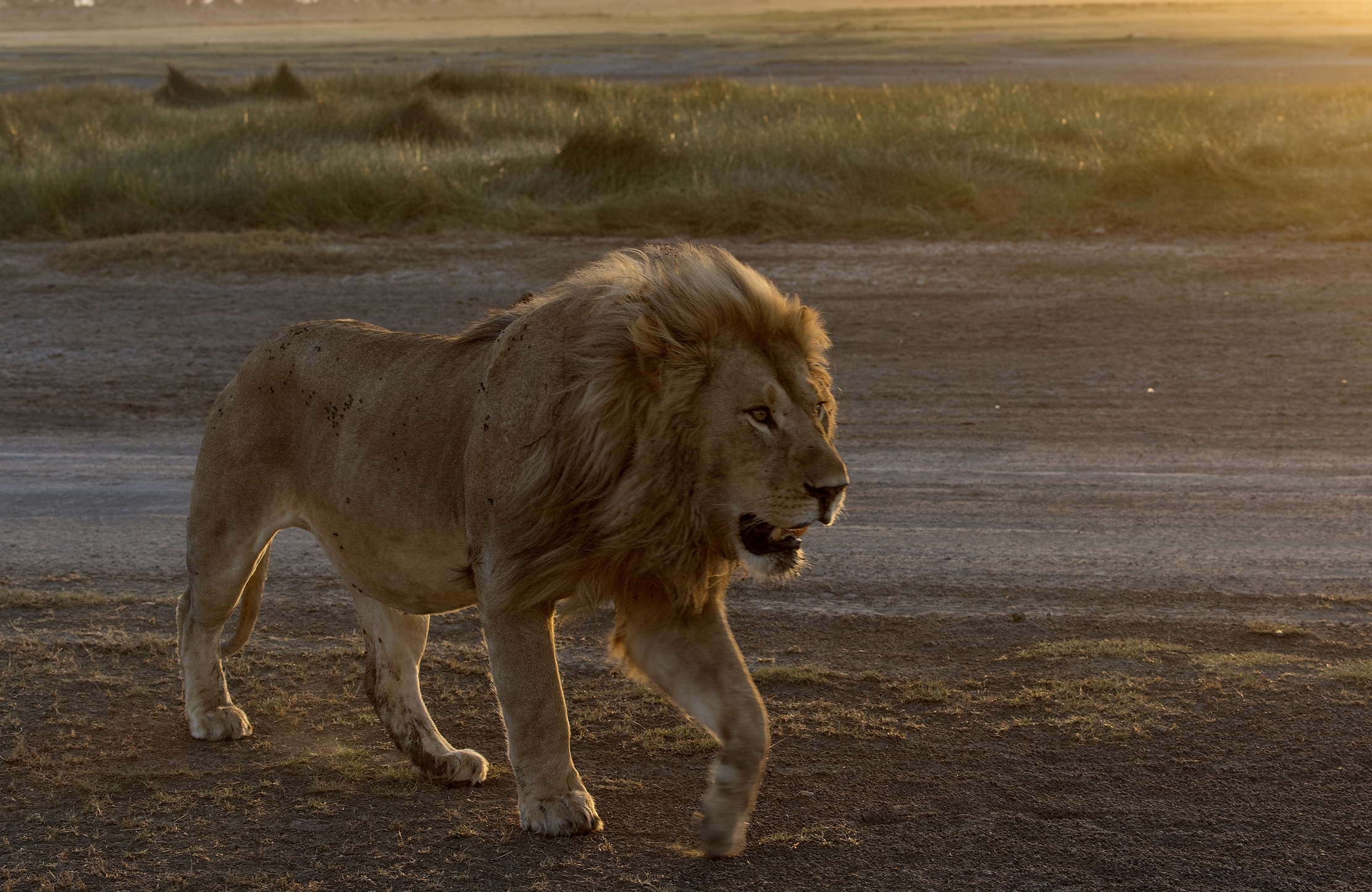 Tanzania 2015 - Al tramonto