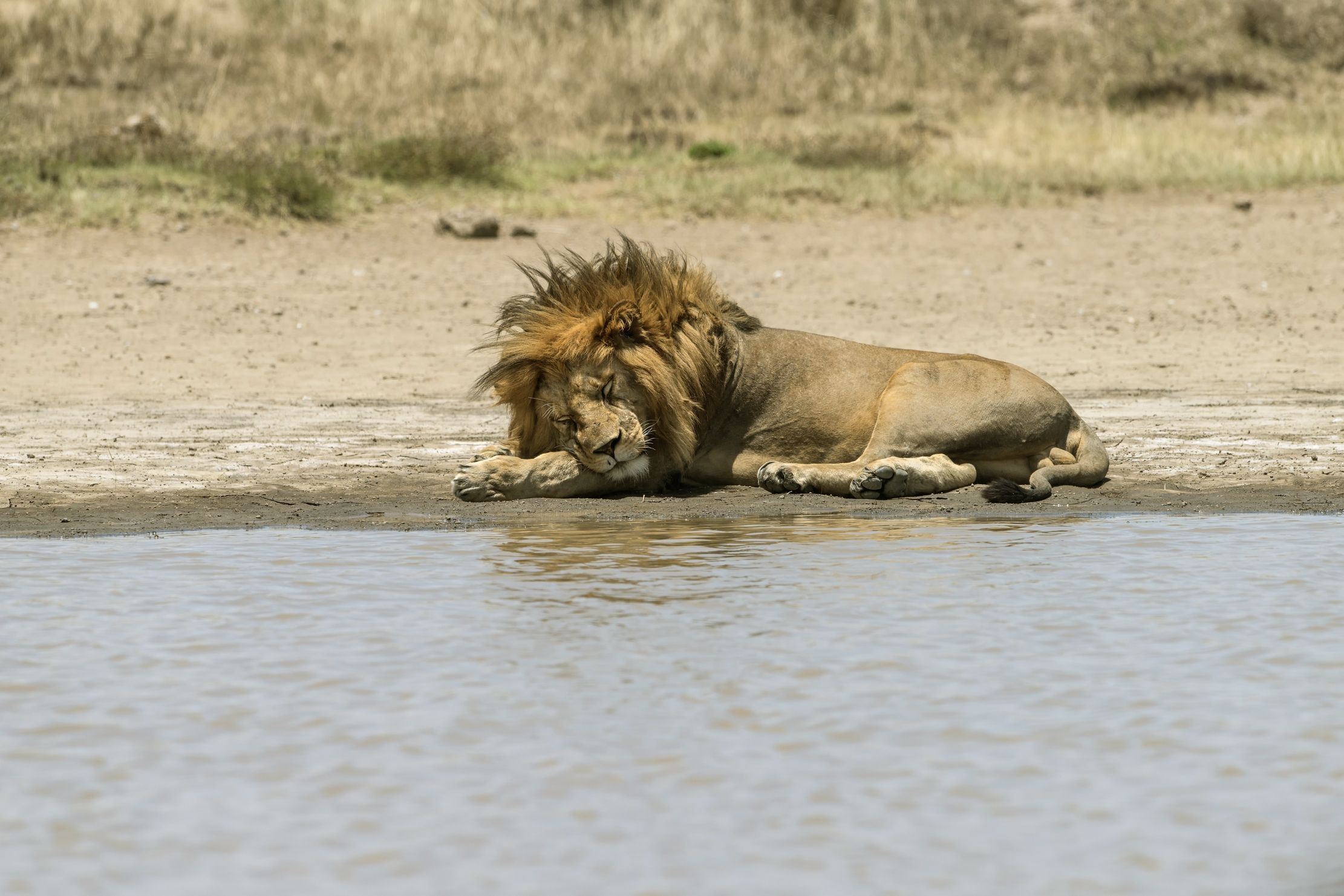 Tanzania 2015 - scompigliato