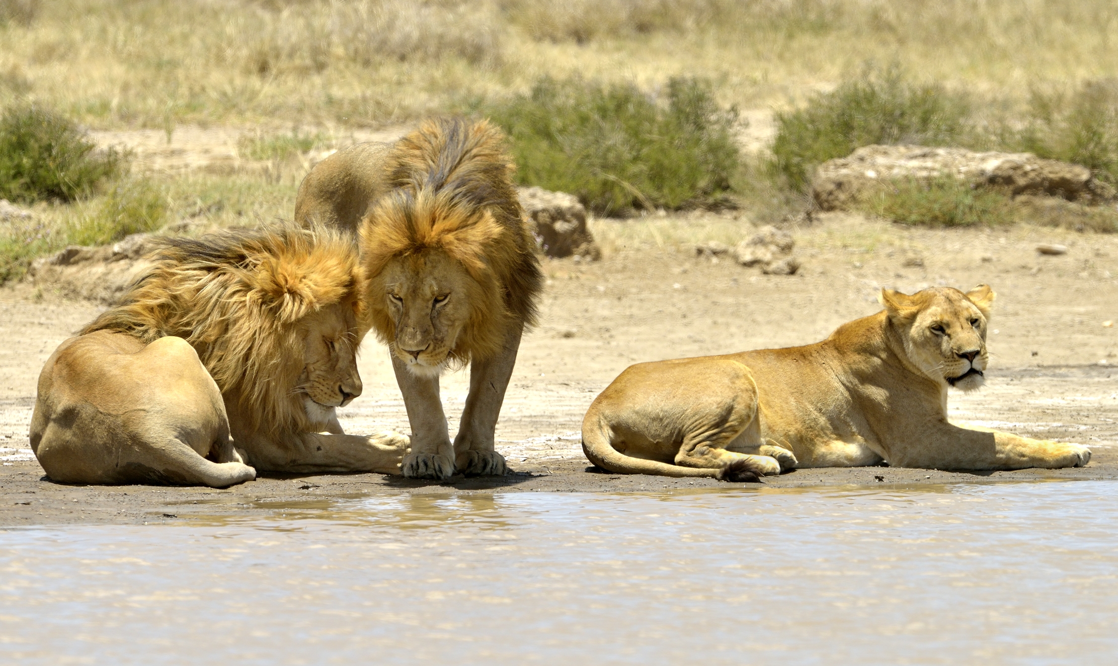 Tanzania 2015 - Triangolo