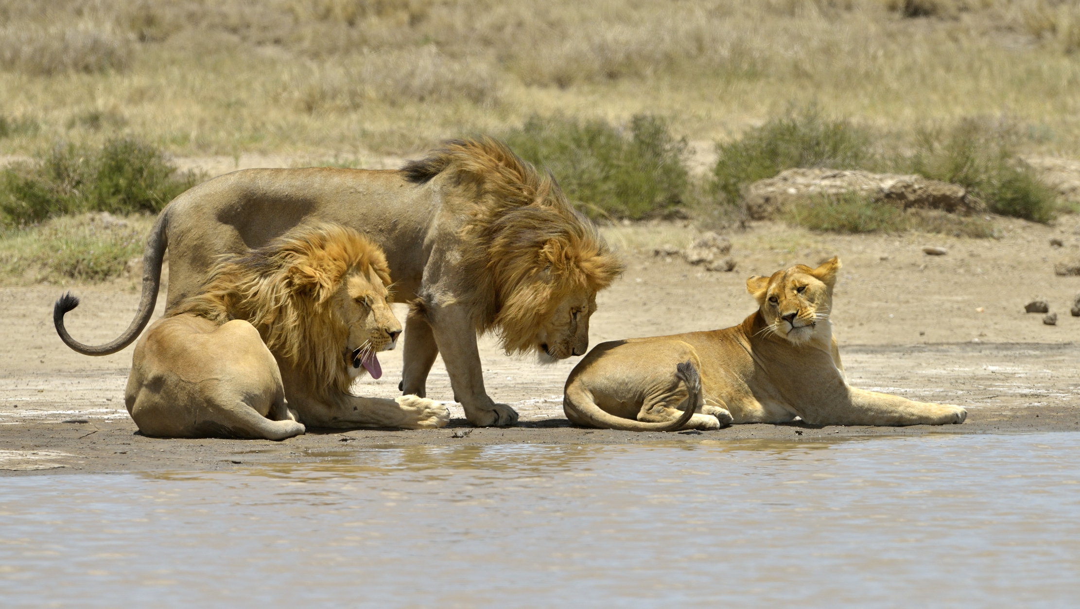 Tanzania 2015 - Triangolo