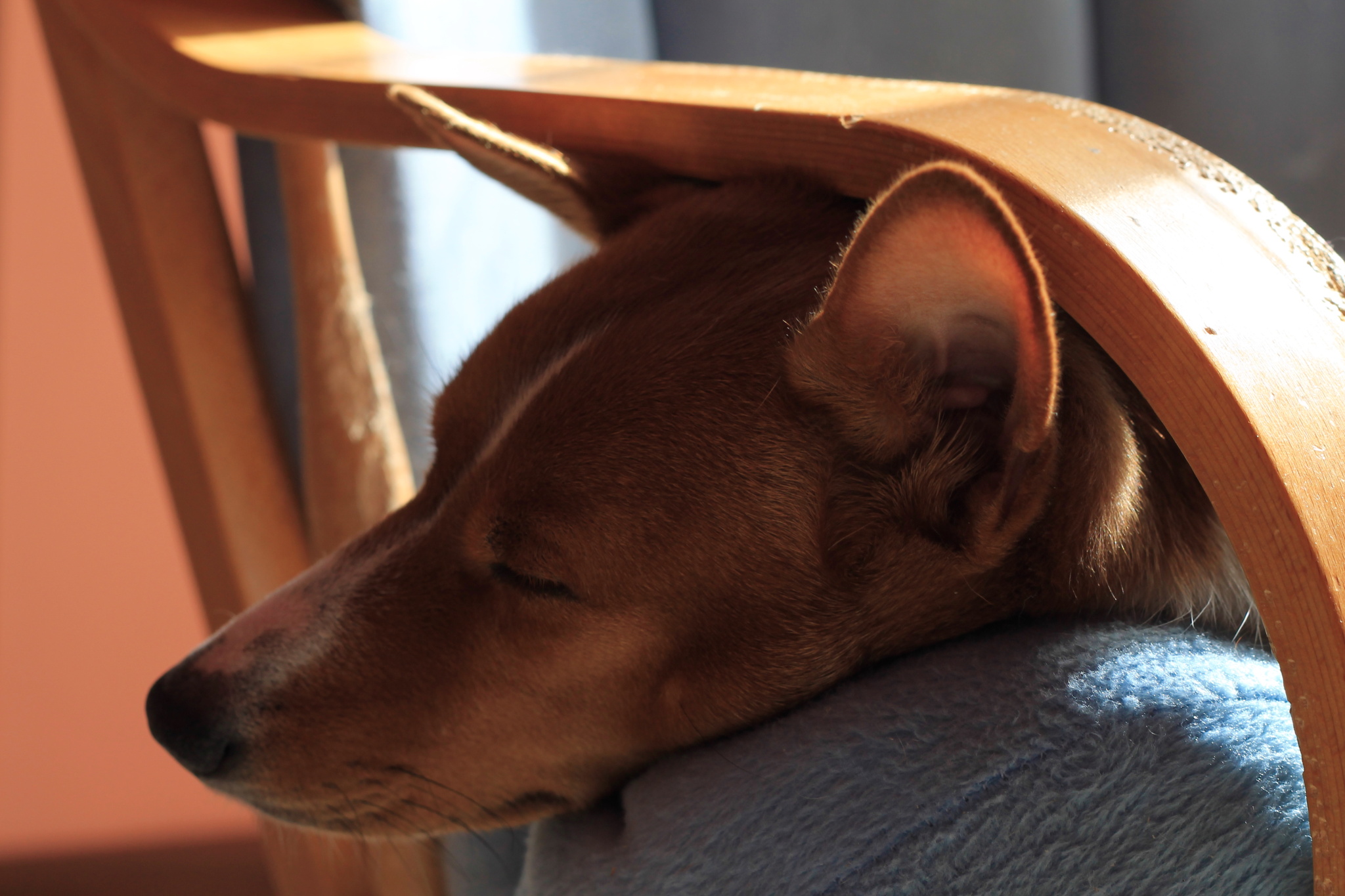 Aprile dolce dormire