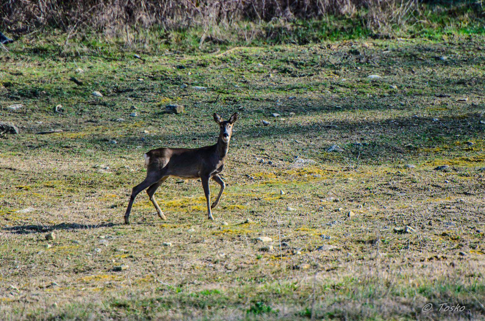 allo scoperto ........ ma sempre in allerta!