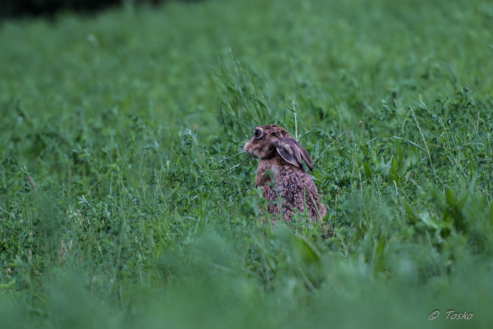 La quiete all'imbrunire....