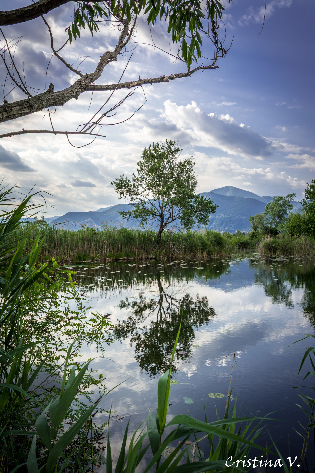 Peatlands Franciacorta