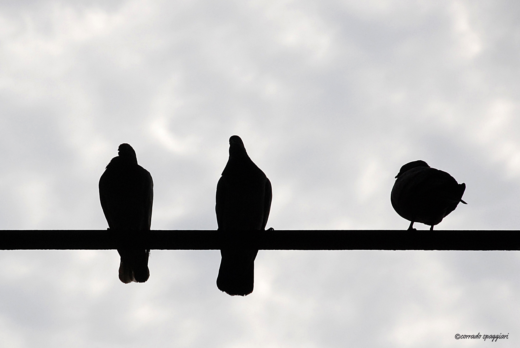 She, he and the other ...