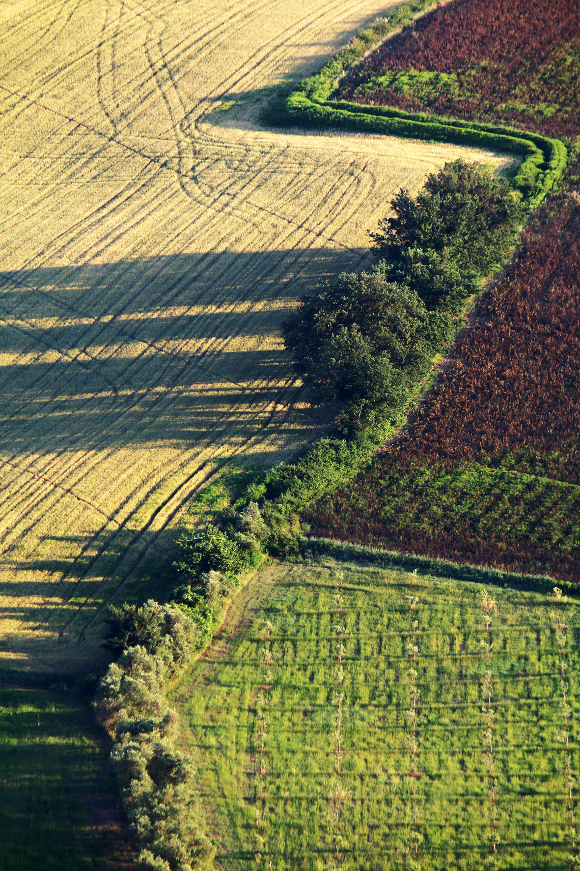 L'arte del contadino..
