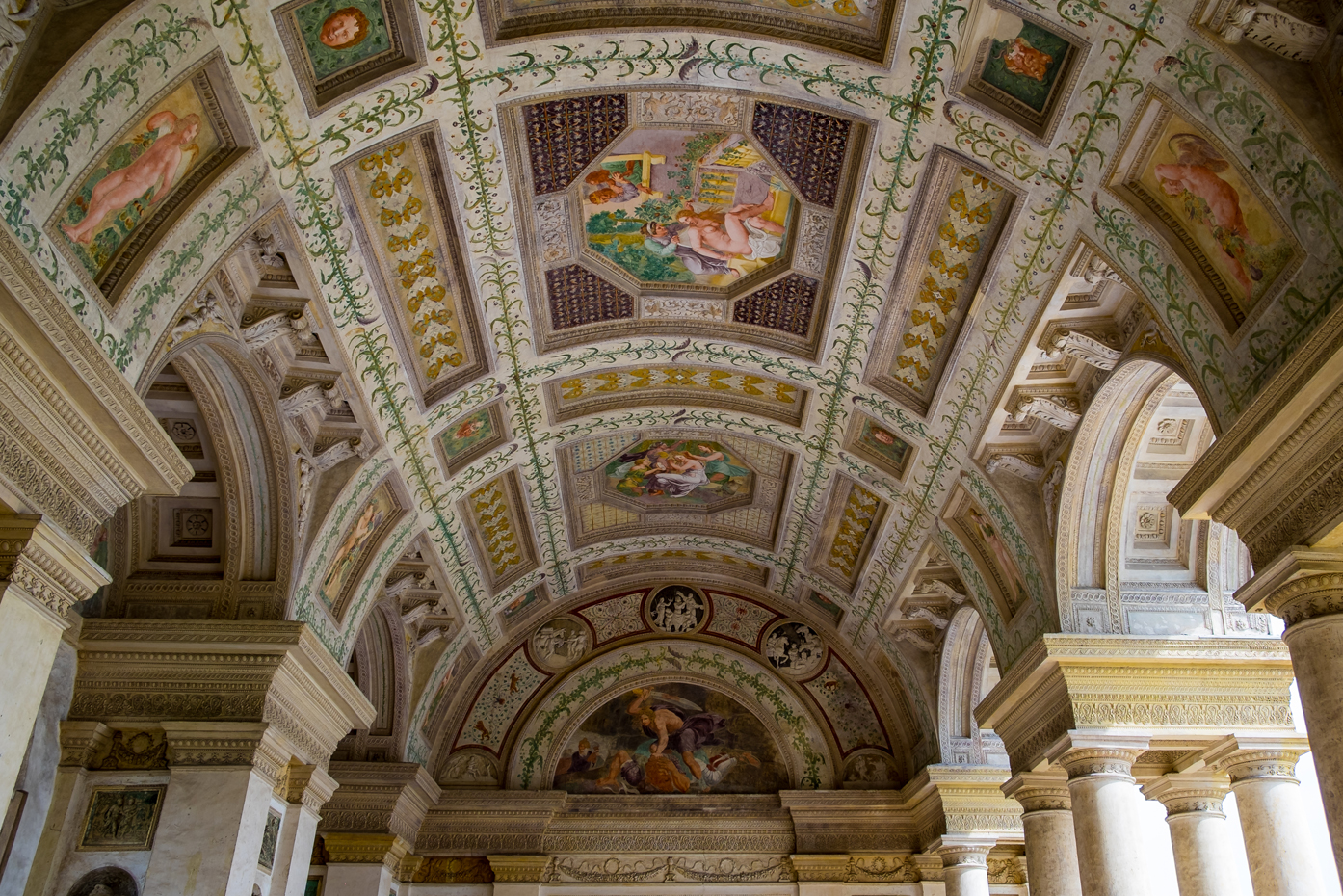 Particular Palazzo Te