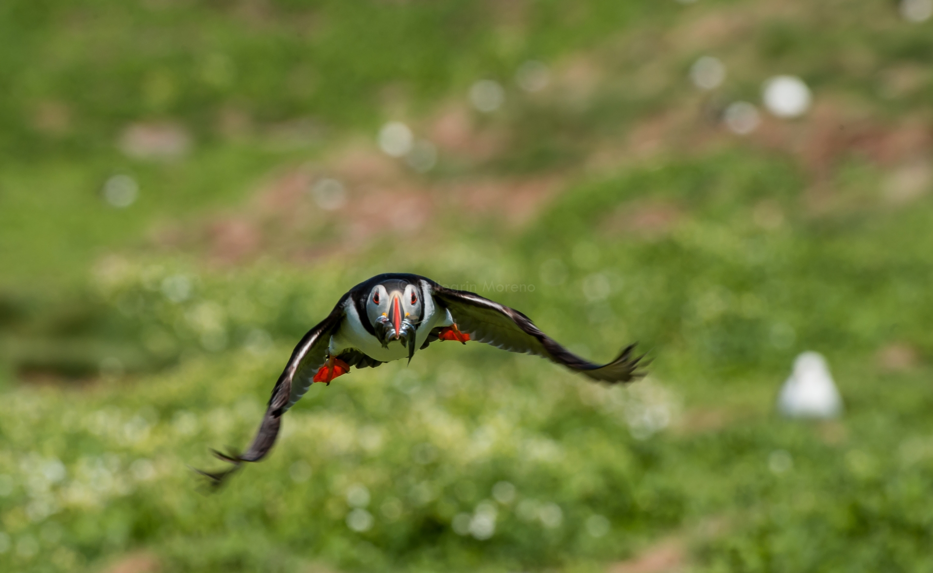 After returning from an abundant fishing