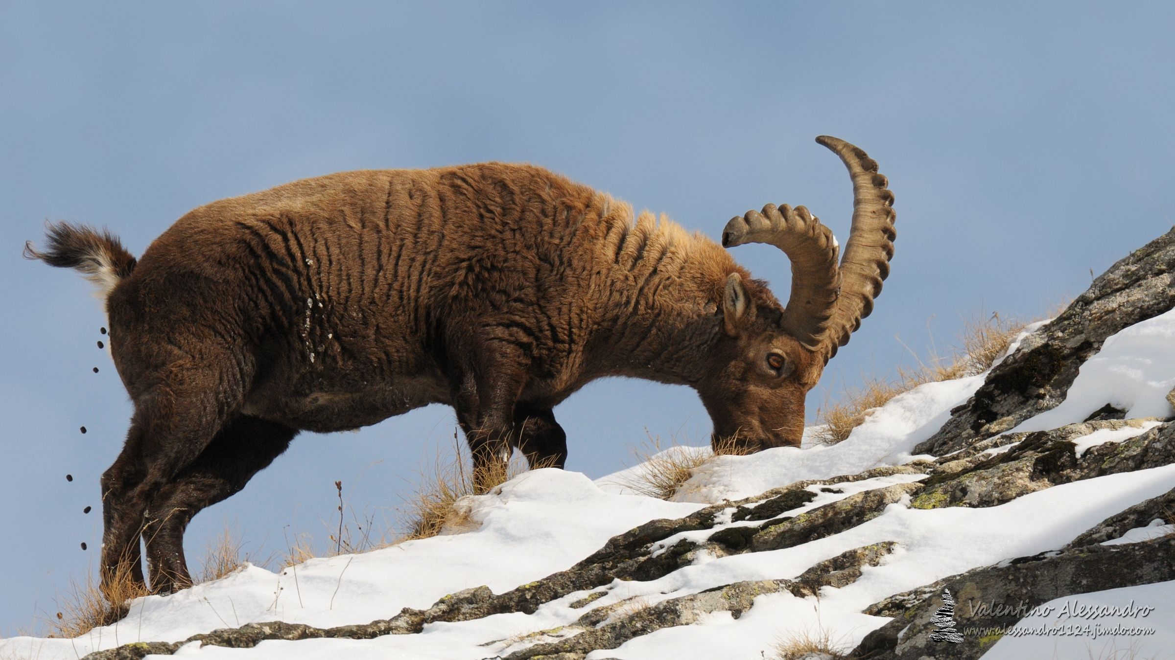 Nothing is created, nothing is lost, everything is transform...