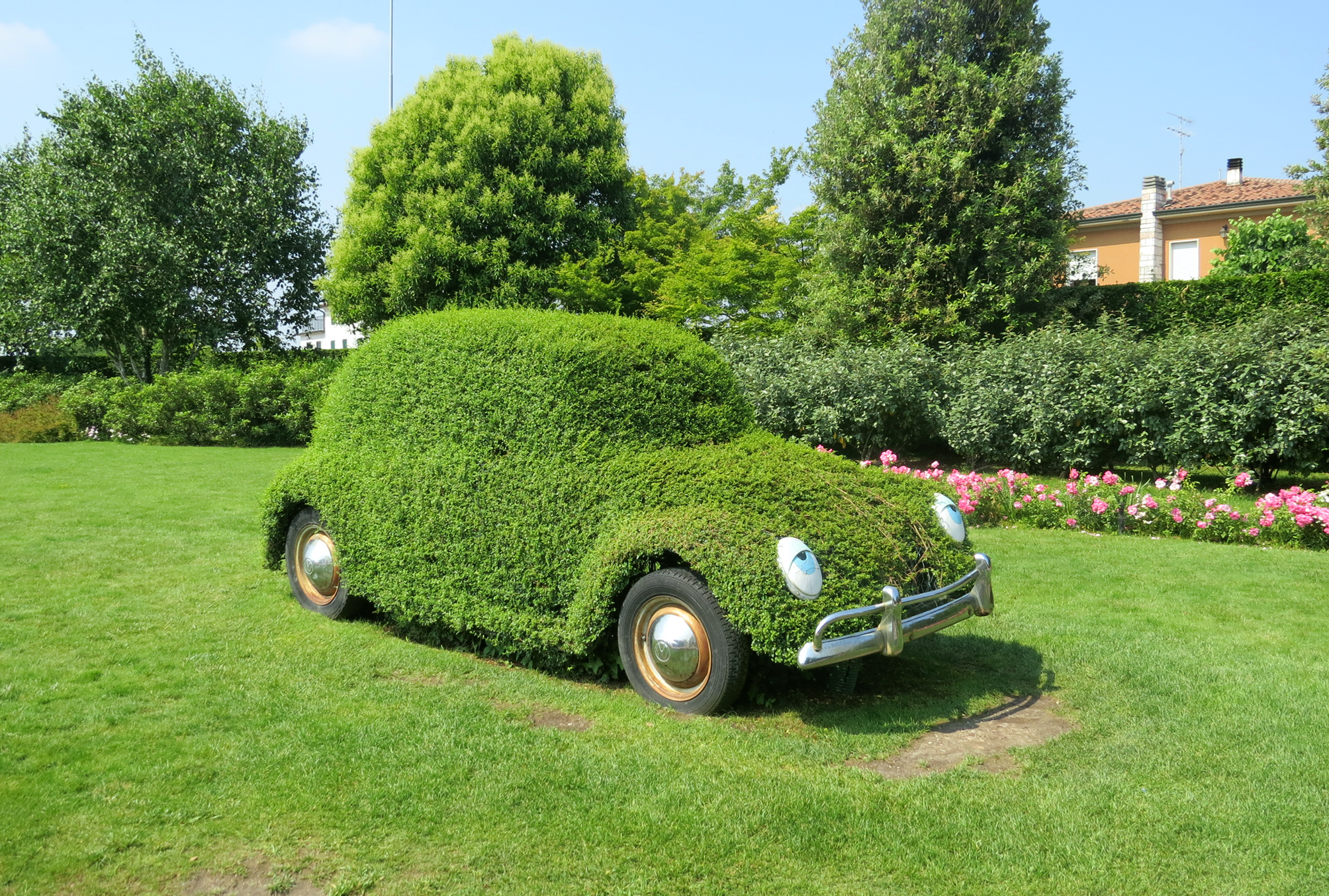 The Beetle that does not pollute