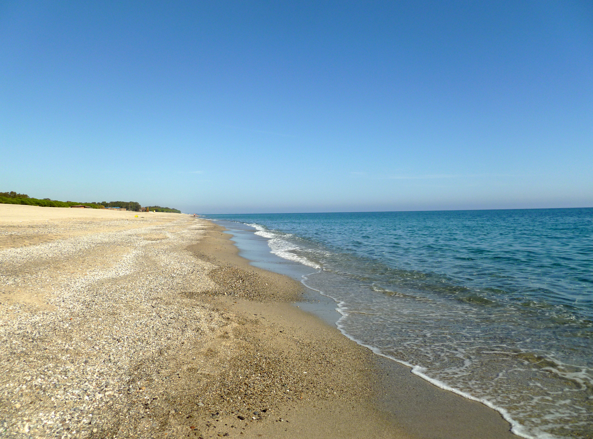 How can you not dive?