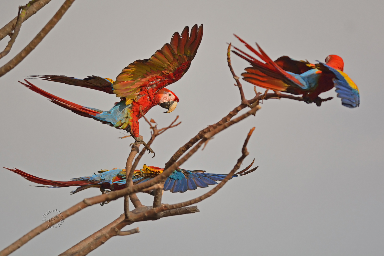 ...c'è chi parte e chi arriva...