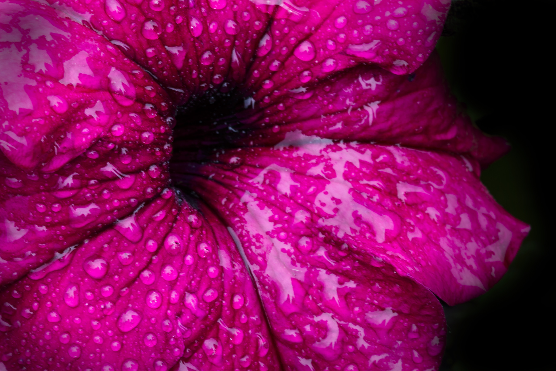 L'Orizzonte degli Eventi e Black Hole