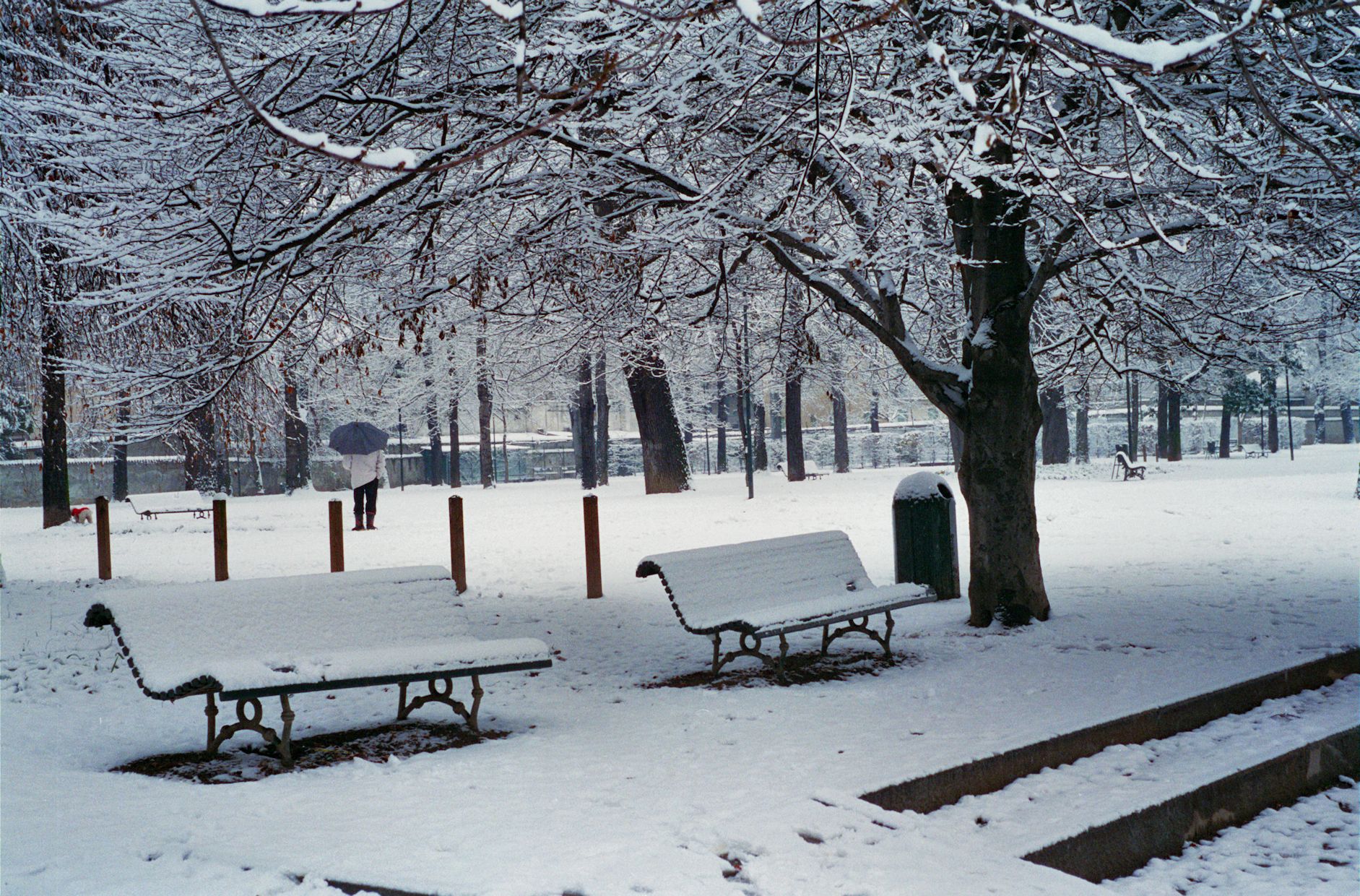 Torino Parco a gennaio