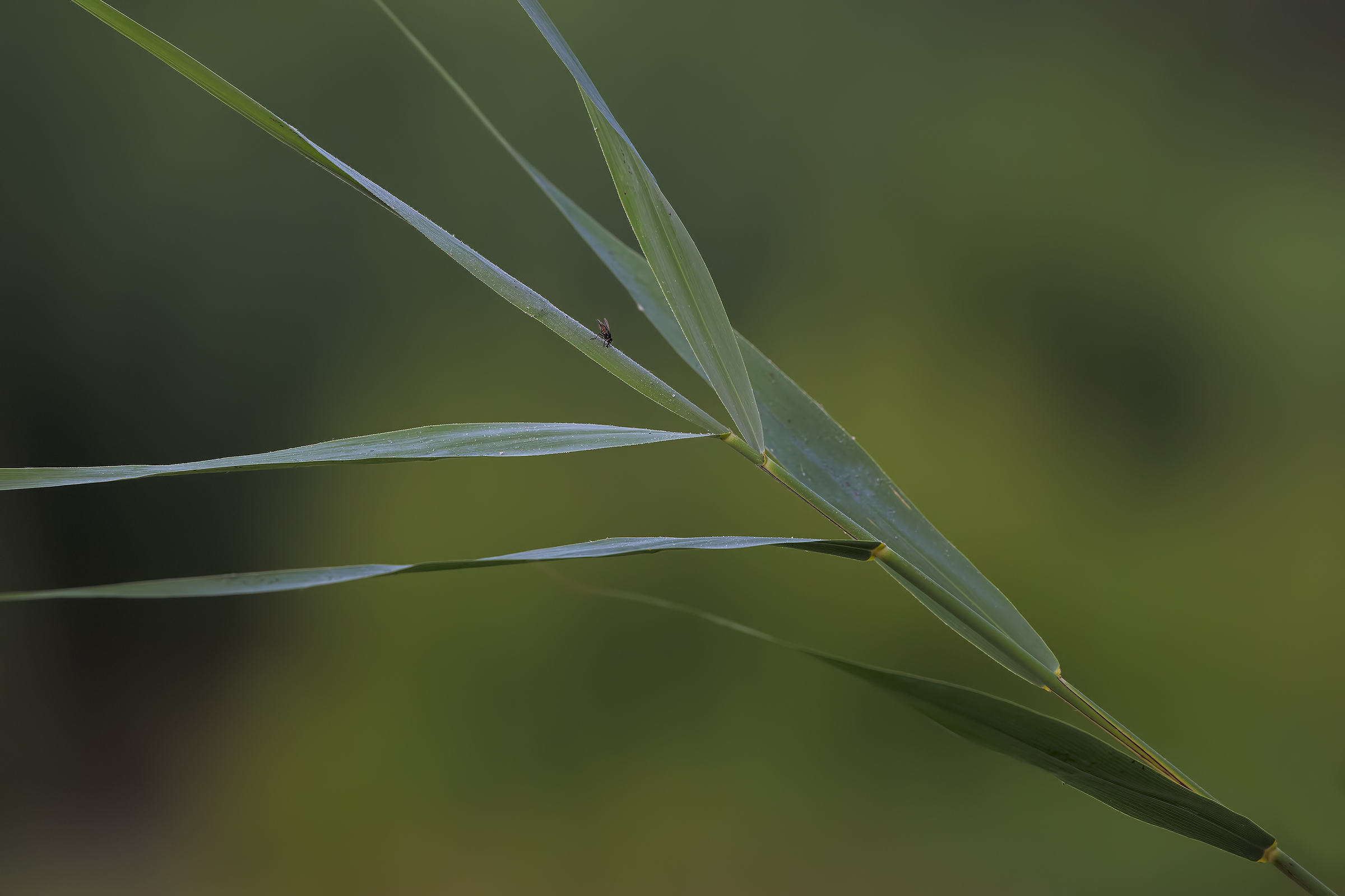 attendendo ciò che non arriva