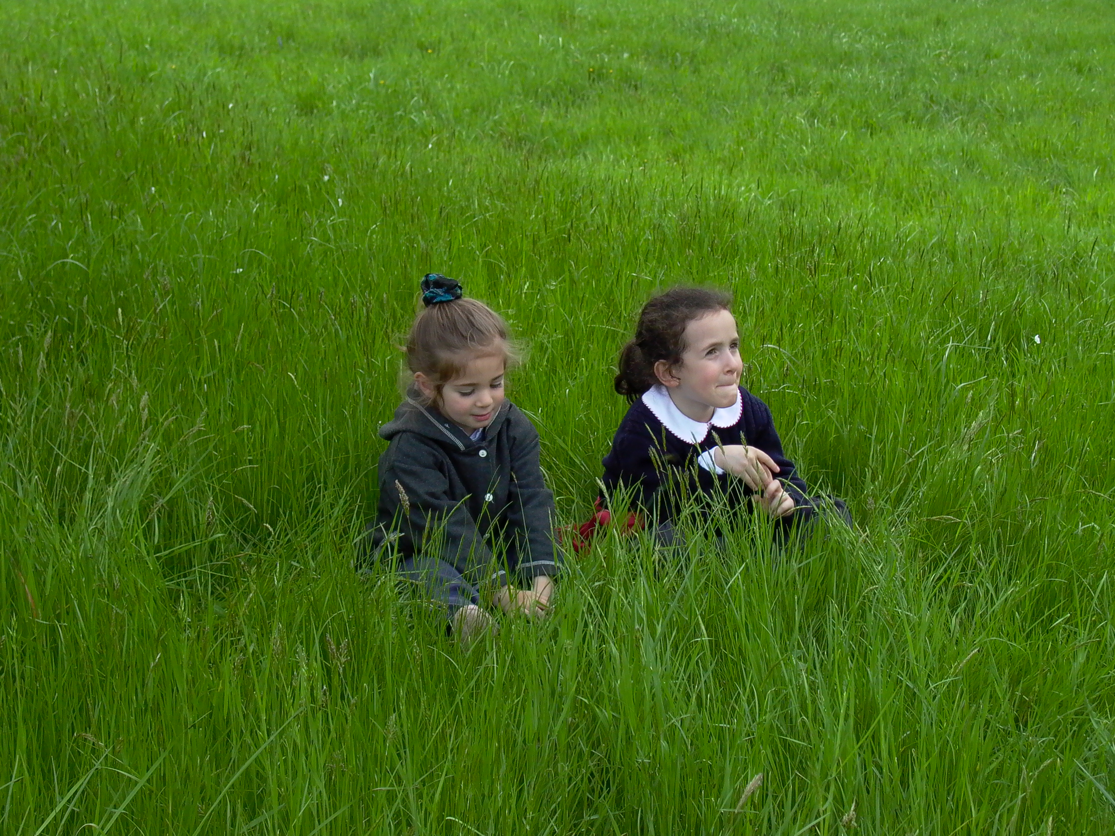 in mezzo all'erba si sta bene