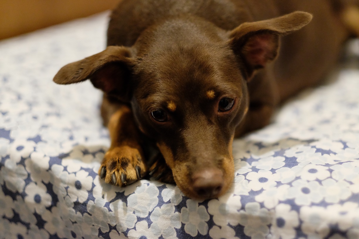 struggling guys ....