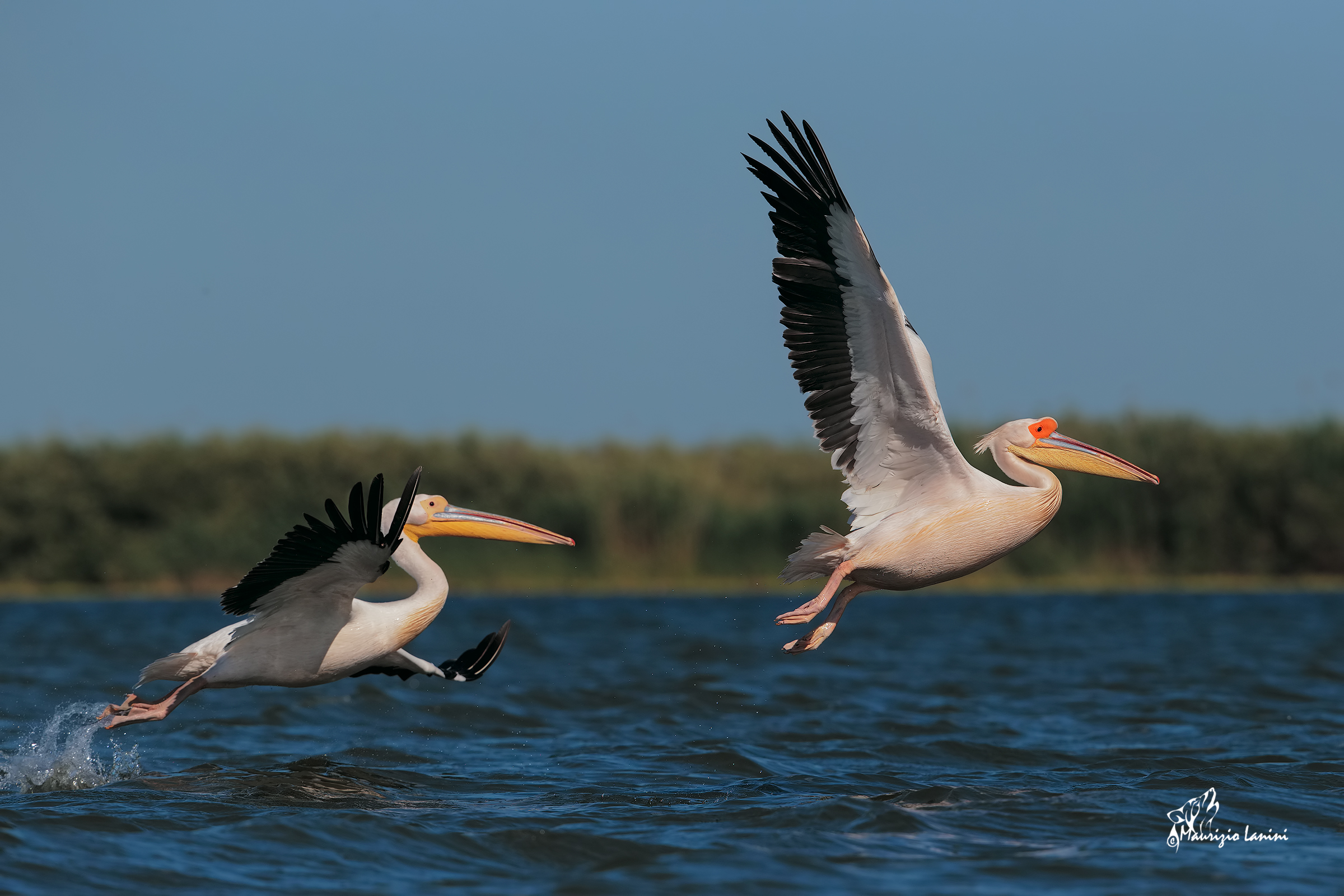 La coppia prende il volo ( solo HD)