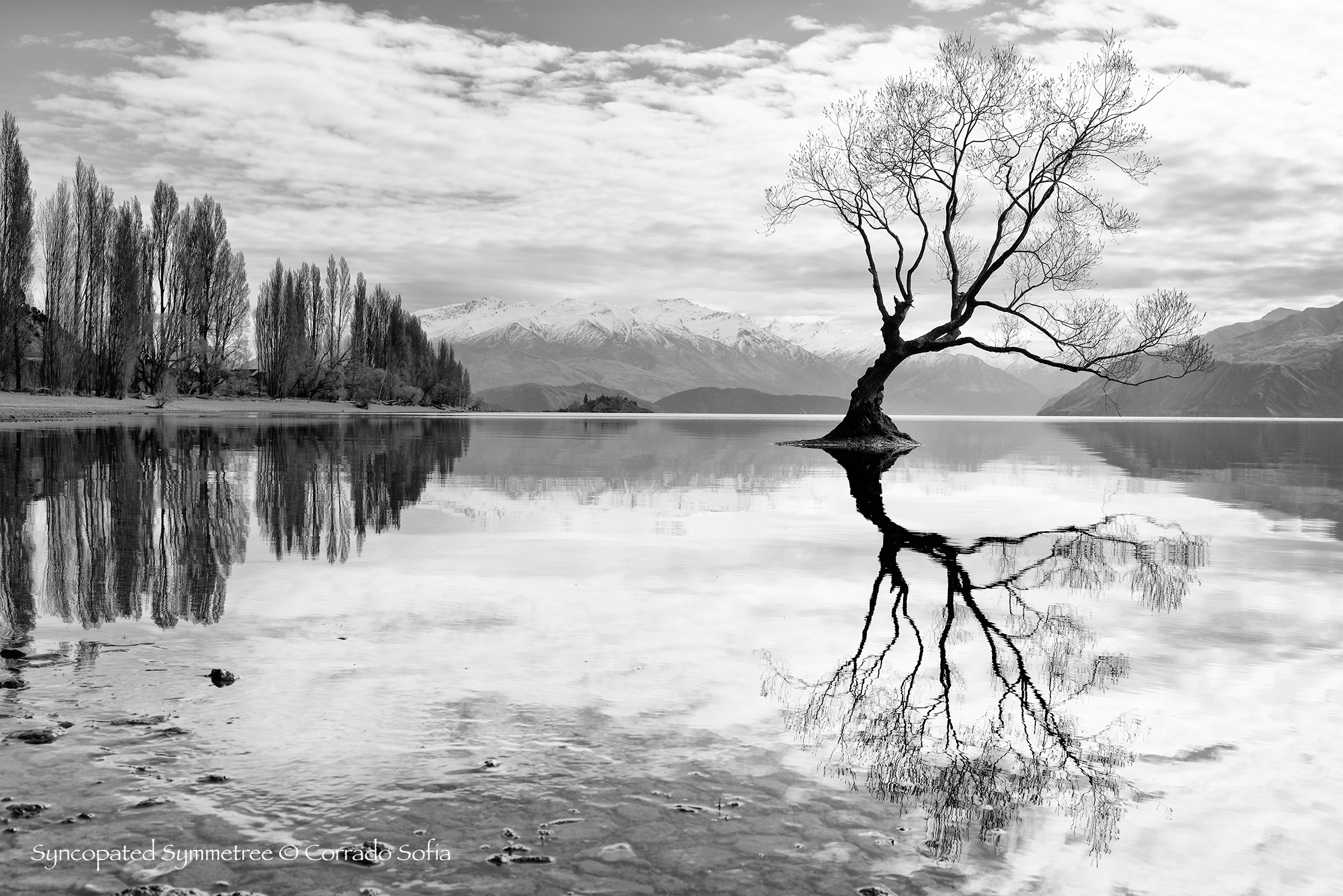 Syncopated Symmetree