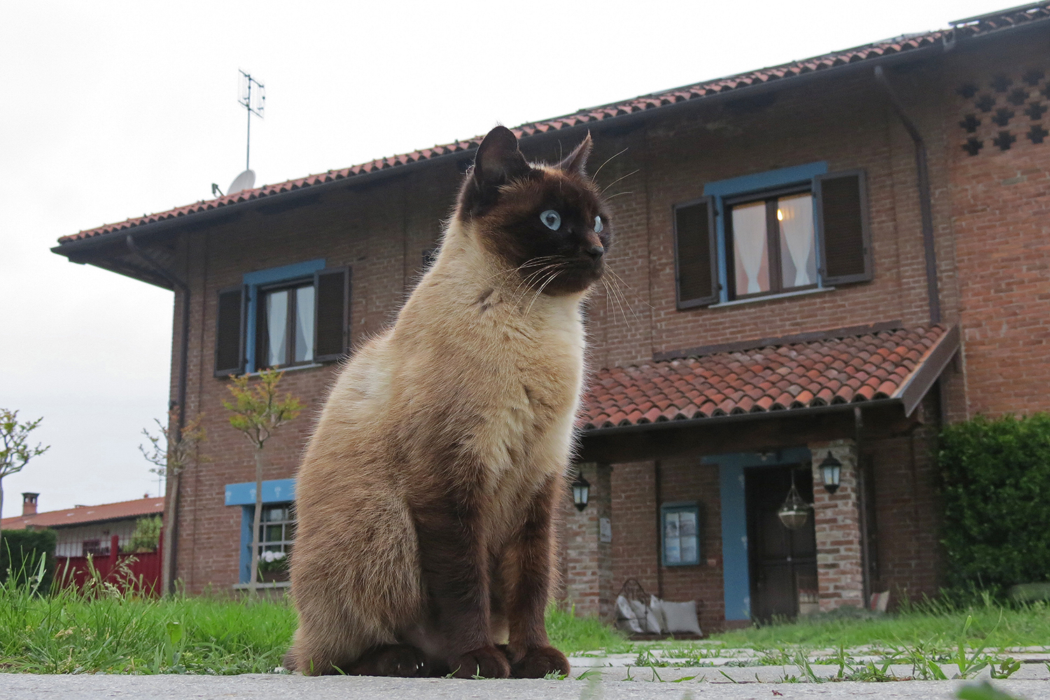 Sono io il padrone di casa