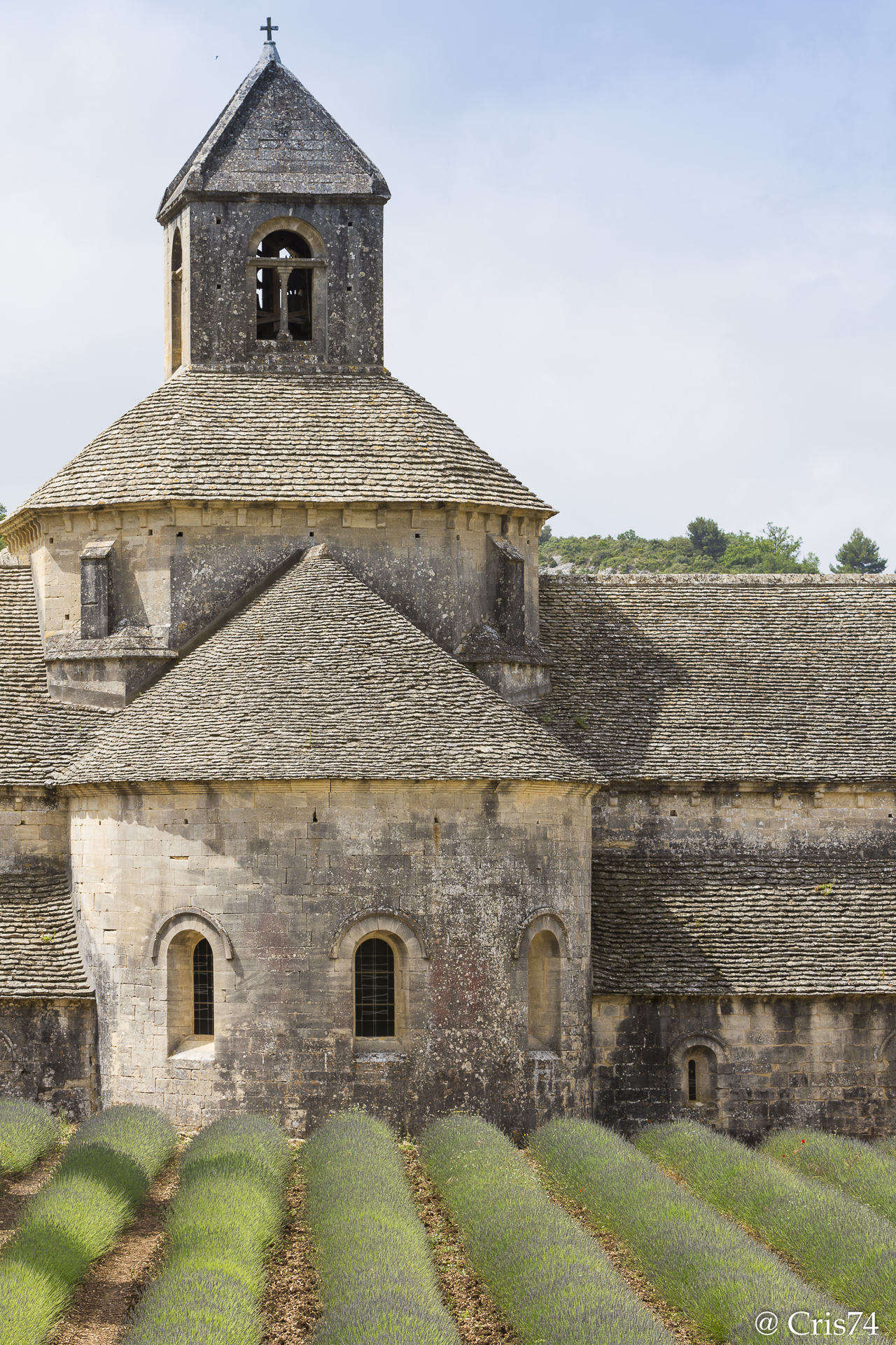 abbazia di Senanque