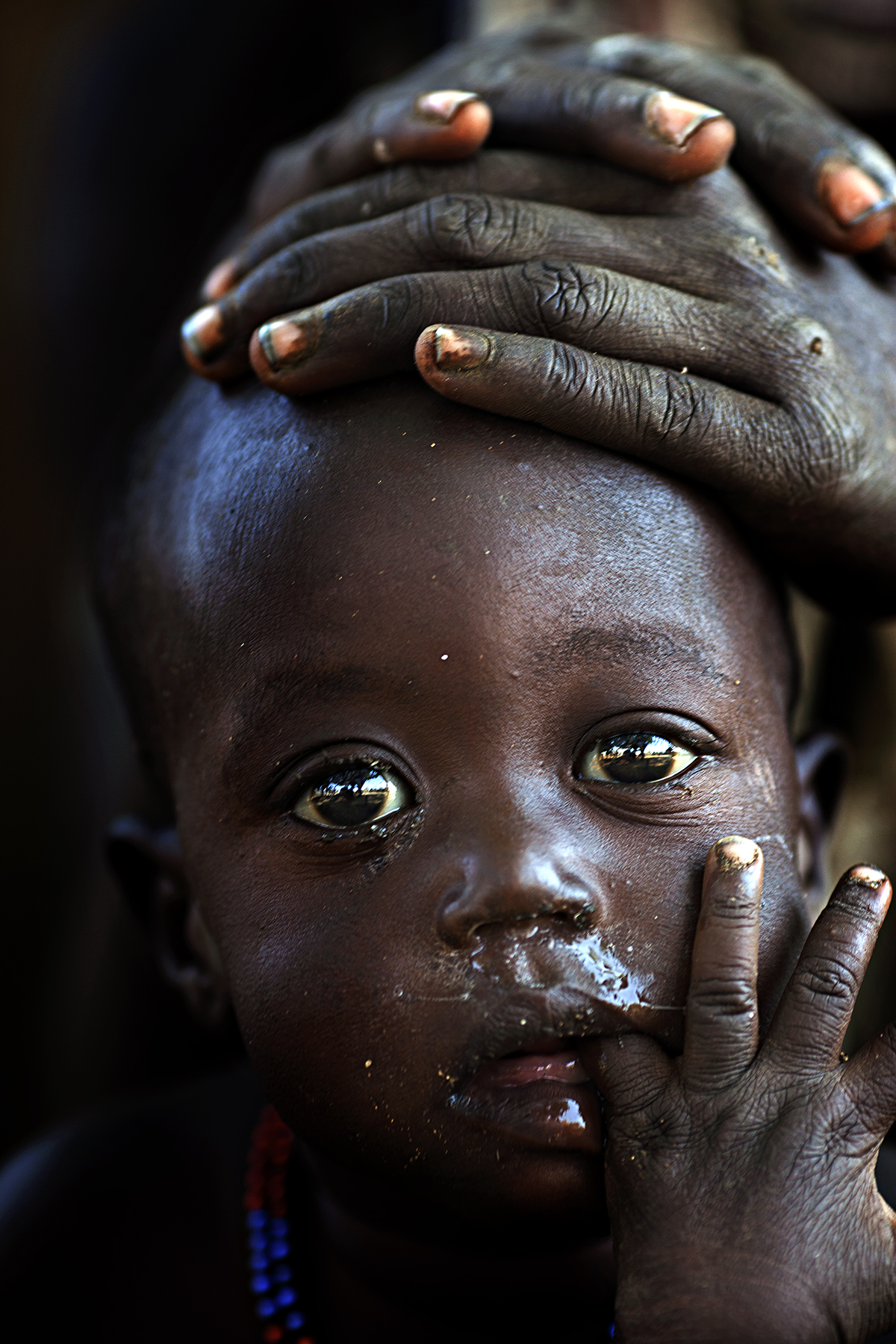 cucciolo africano...