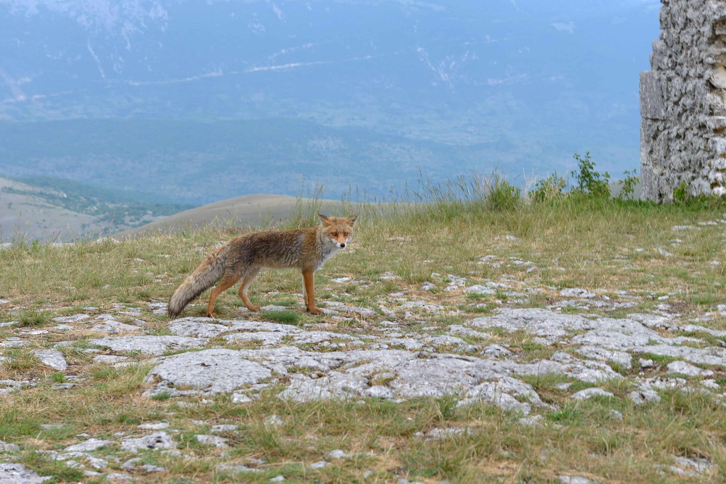 See you soon, I'm leaving