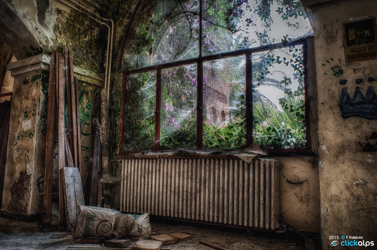 La terra dopo l'uomo...anno 0