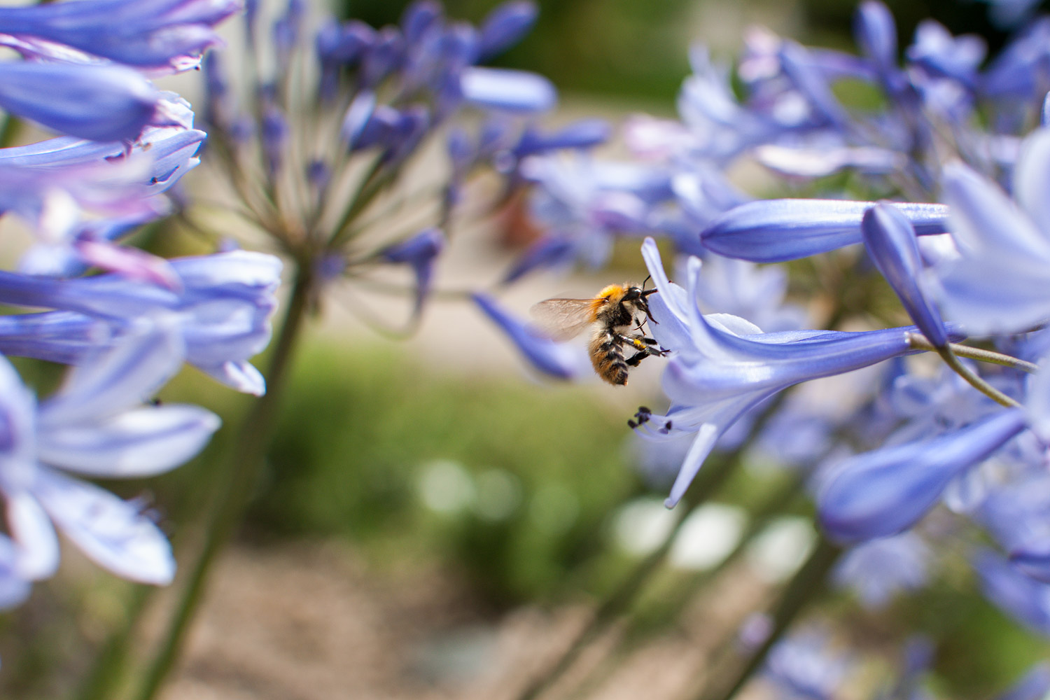 Not really a macro ...