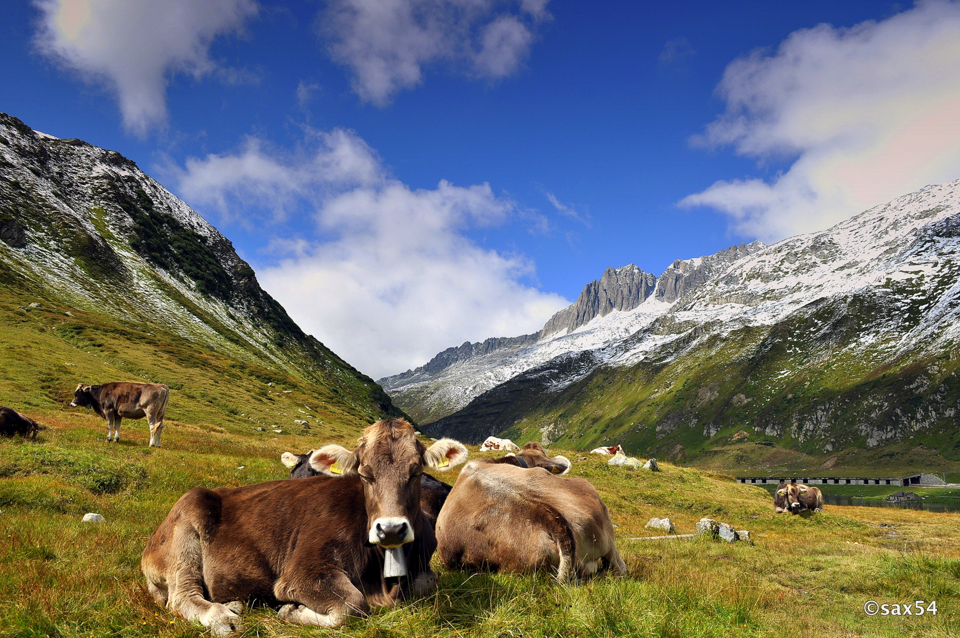 Oberalp Pass Switzerland