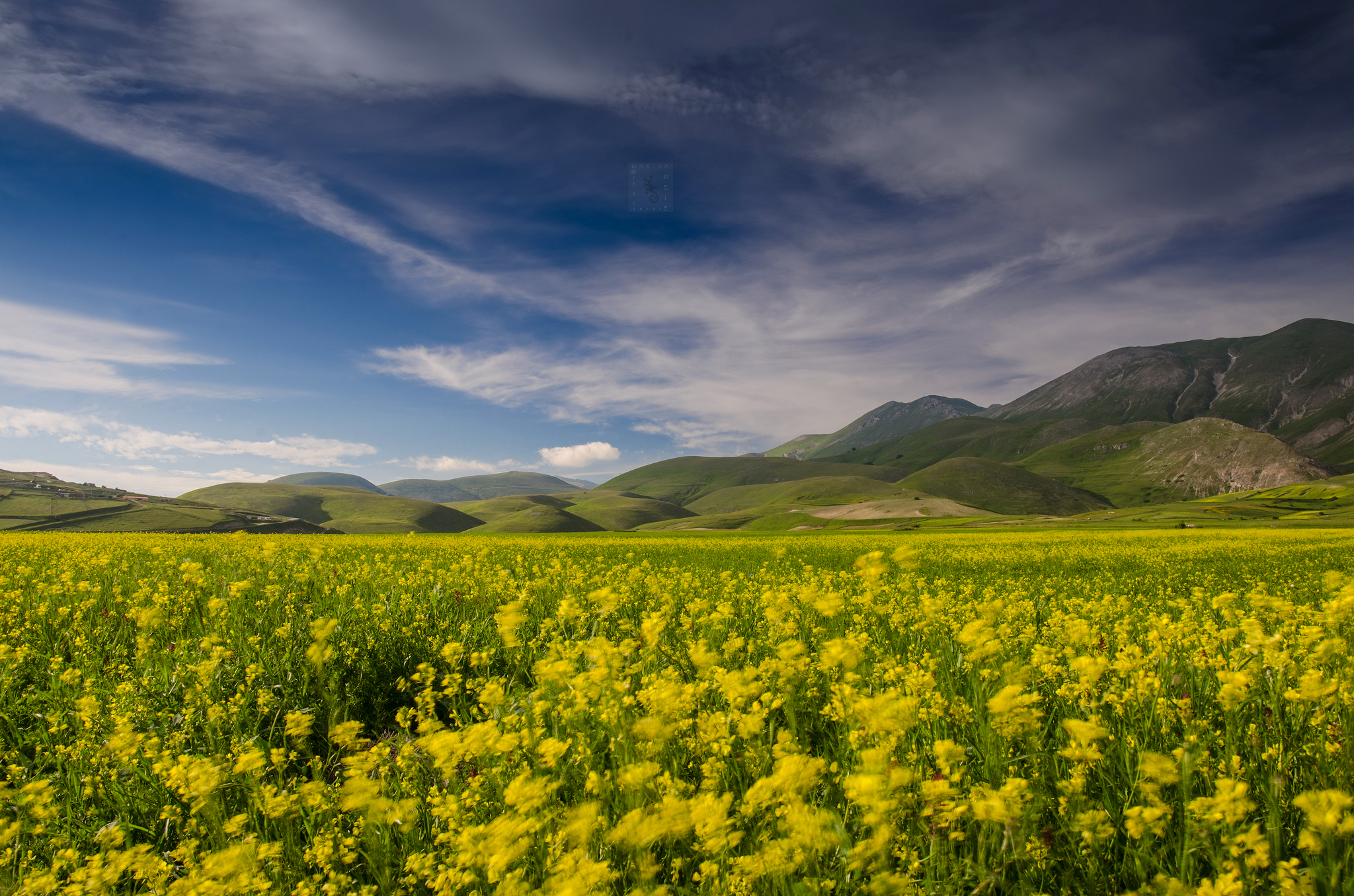 the new yellow for me