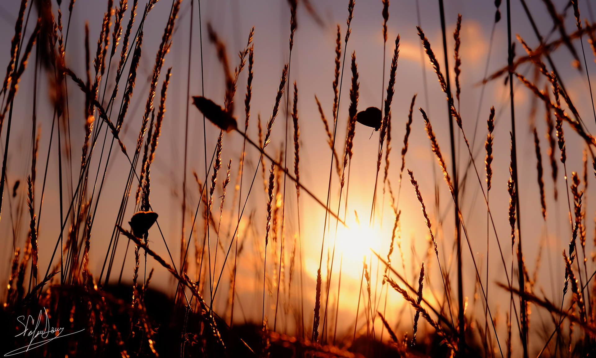 Le ultime ore del giorno