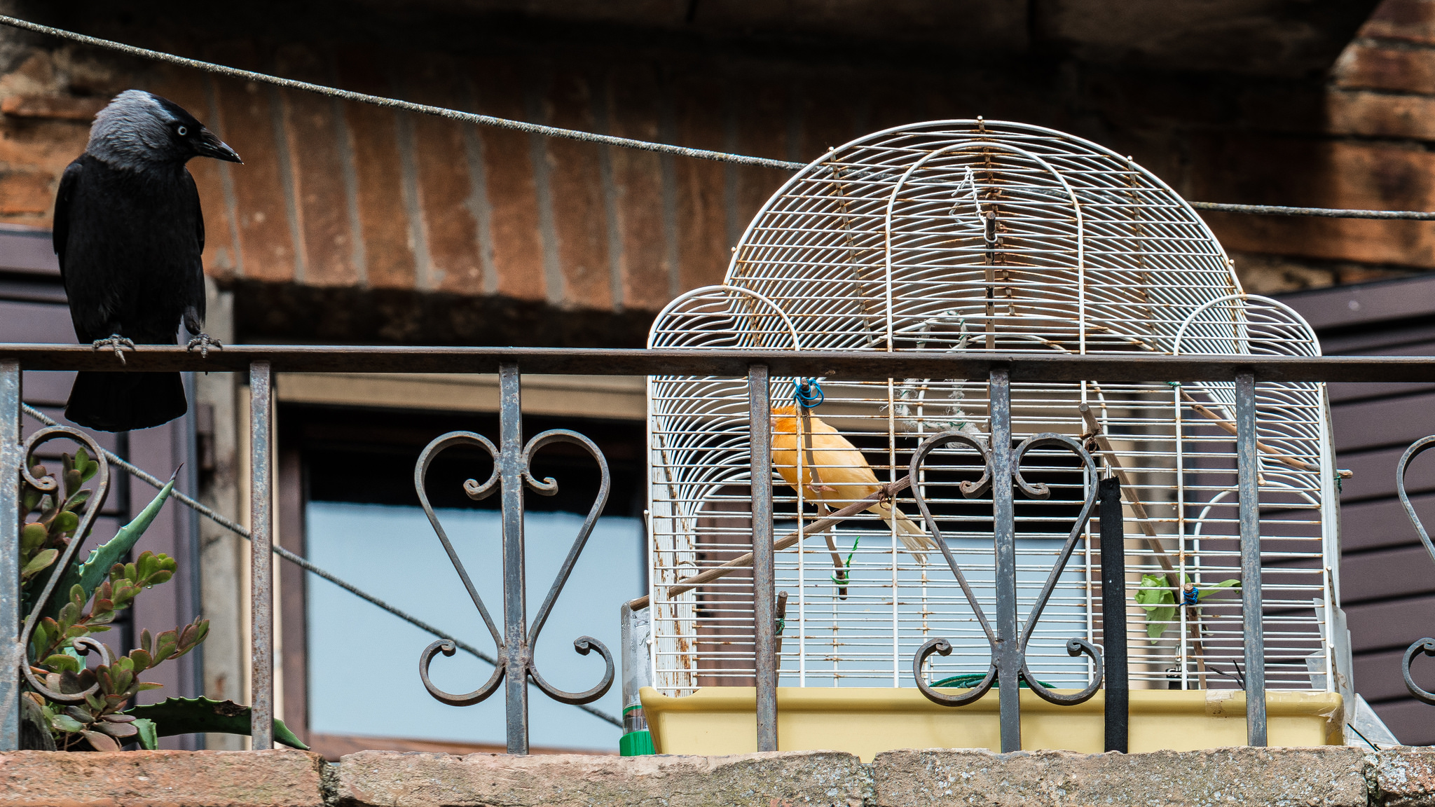 Something does not ...