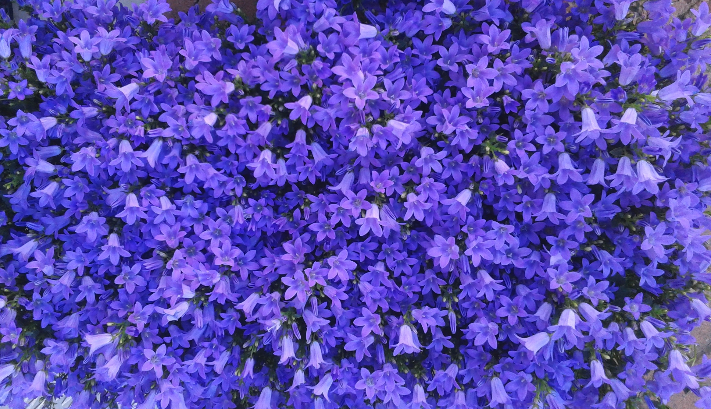 In the blue, painted blue ...