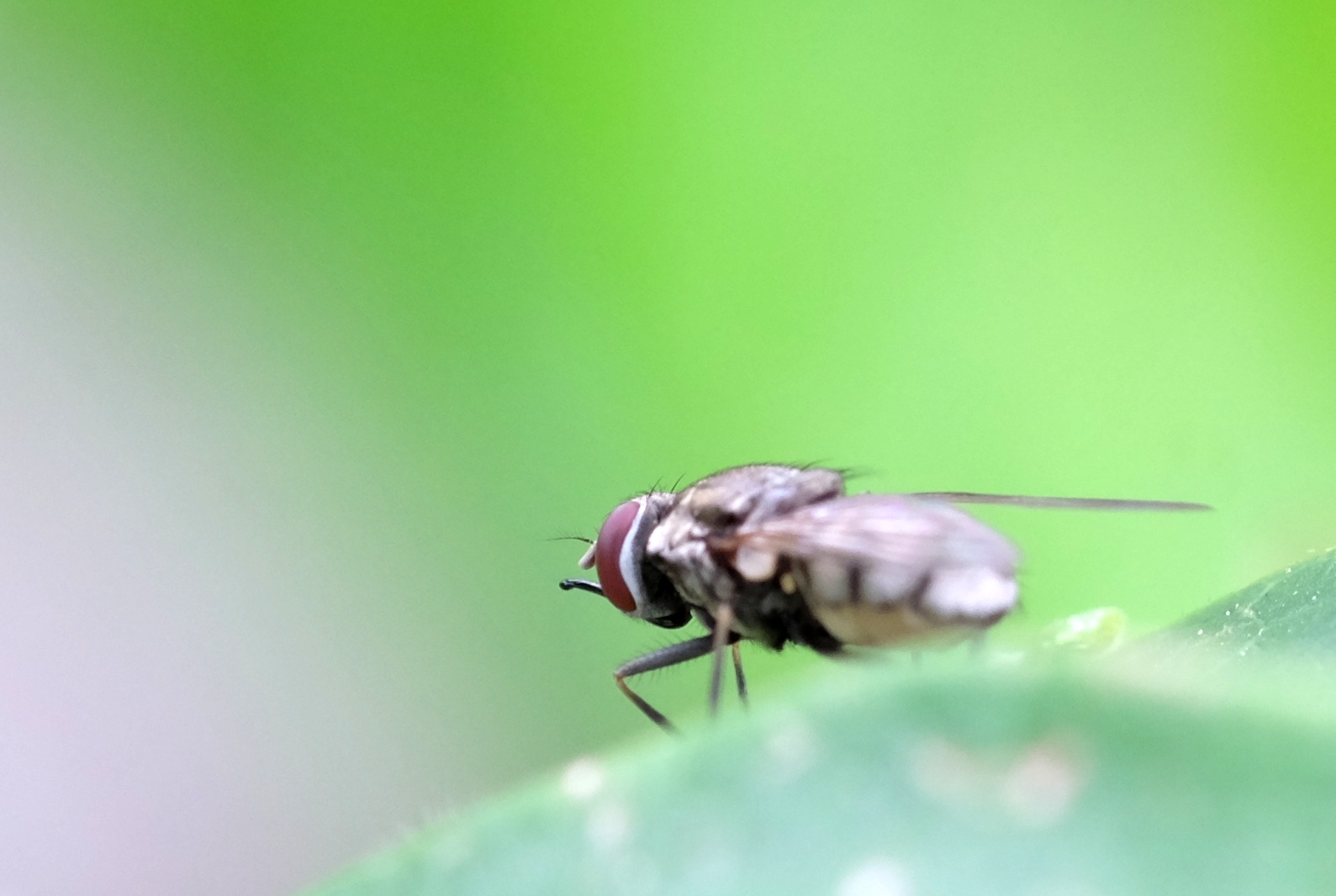 off between 3..2..1 ...