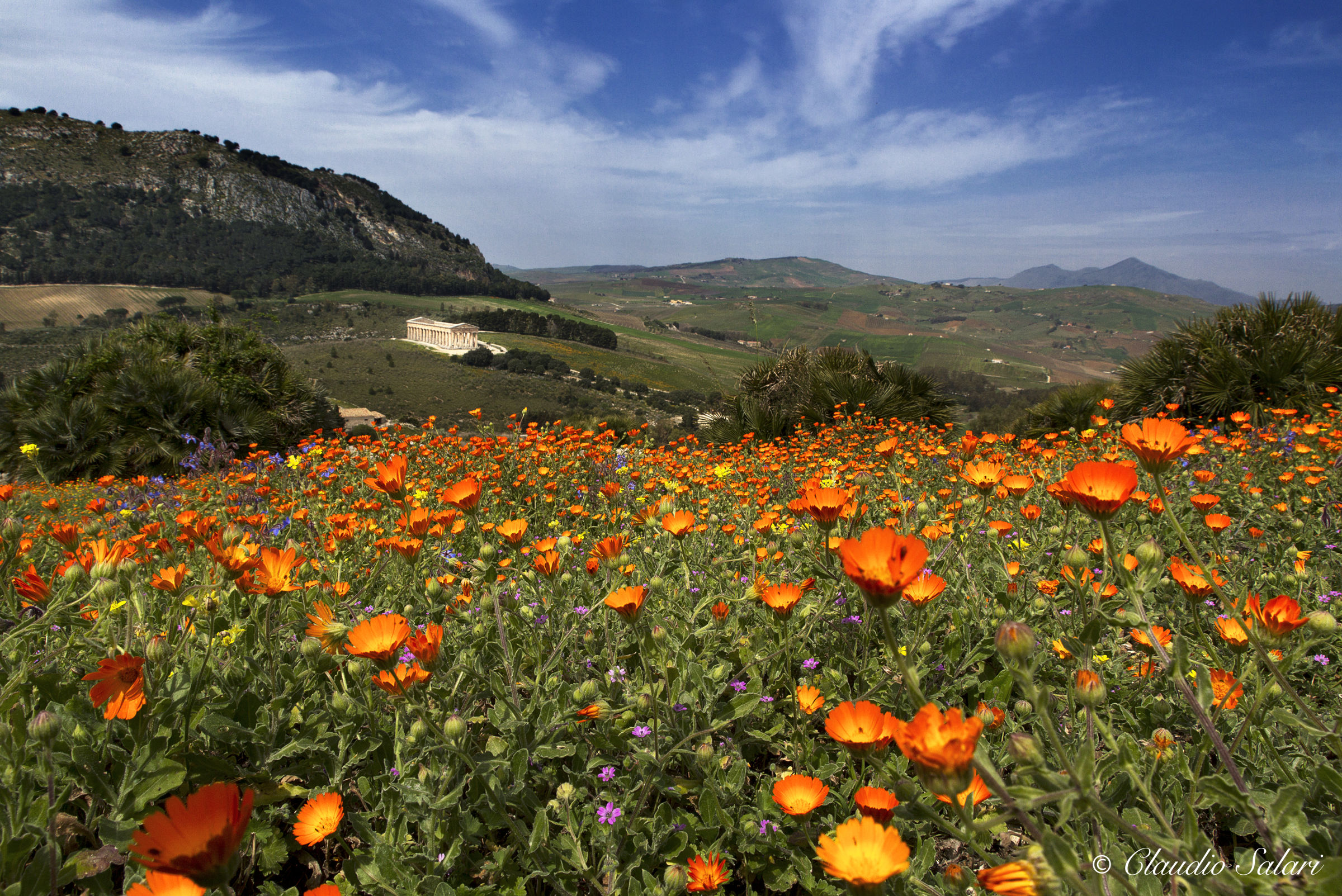 La vallata di Segesta (Monte Bàrbaro) - Calatafimi