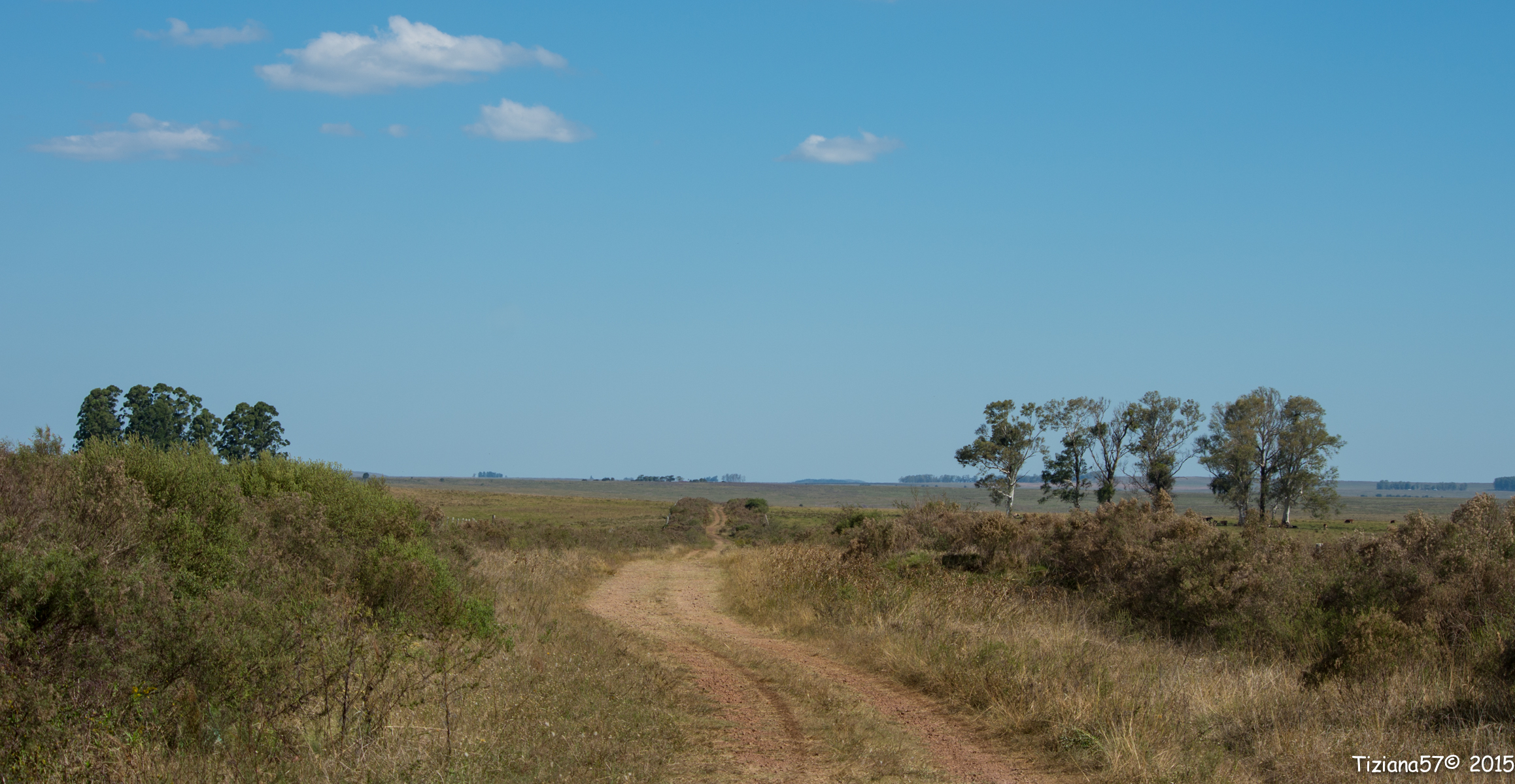 along the way to Rivera