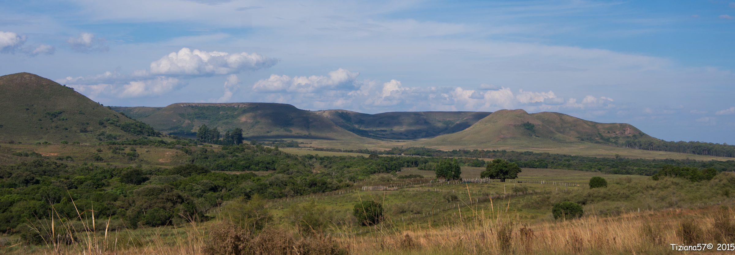 Along the road to Rivera (Uruguay)